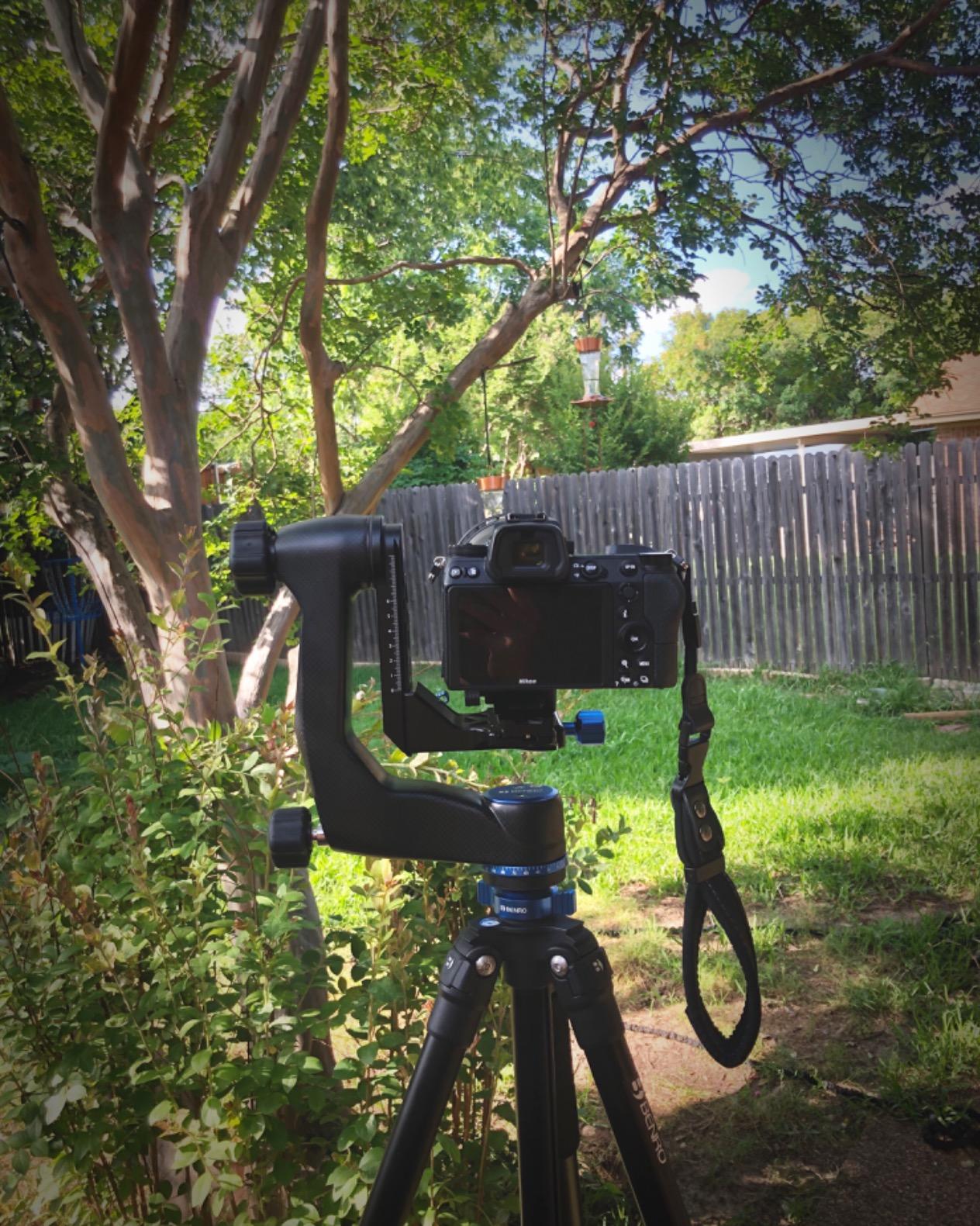 Benro Carbon Fiber Gimbal Head – Professional Lightweight Gimbal Tripod Head with Arca-Swiss Clamp, Pan & Tilt Control, and 66 lb Load Capacity for Telephoto Lenses & Wildlife Photography (GH5C) Customer Review Benro Carbon Fiber Gimbal Head – Professional Lightweight Gimbal Tripod Head with Arca-Swiss Clamp, Pan & Tilt Control, and 66 lb Load Capacity for Telephoto Lenses & Wildlife Photography (GH5C) - Customer Photo 2