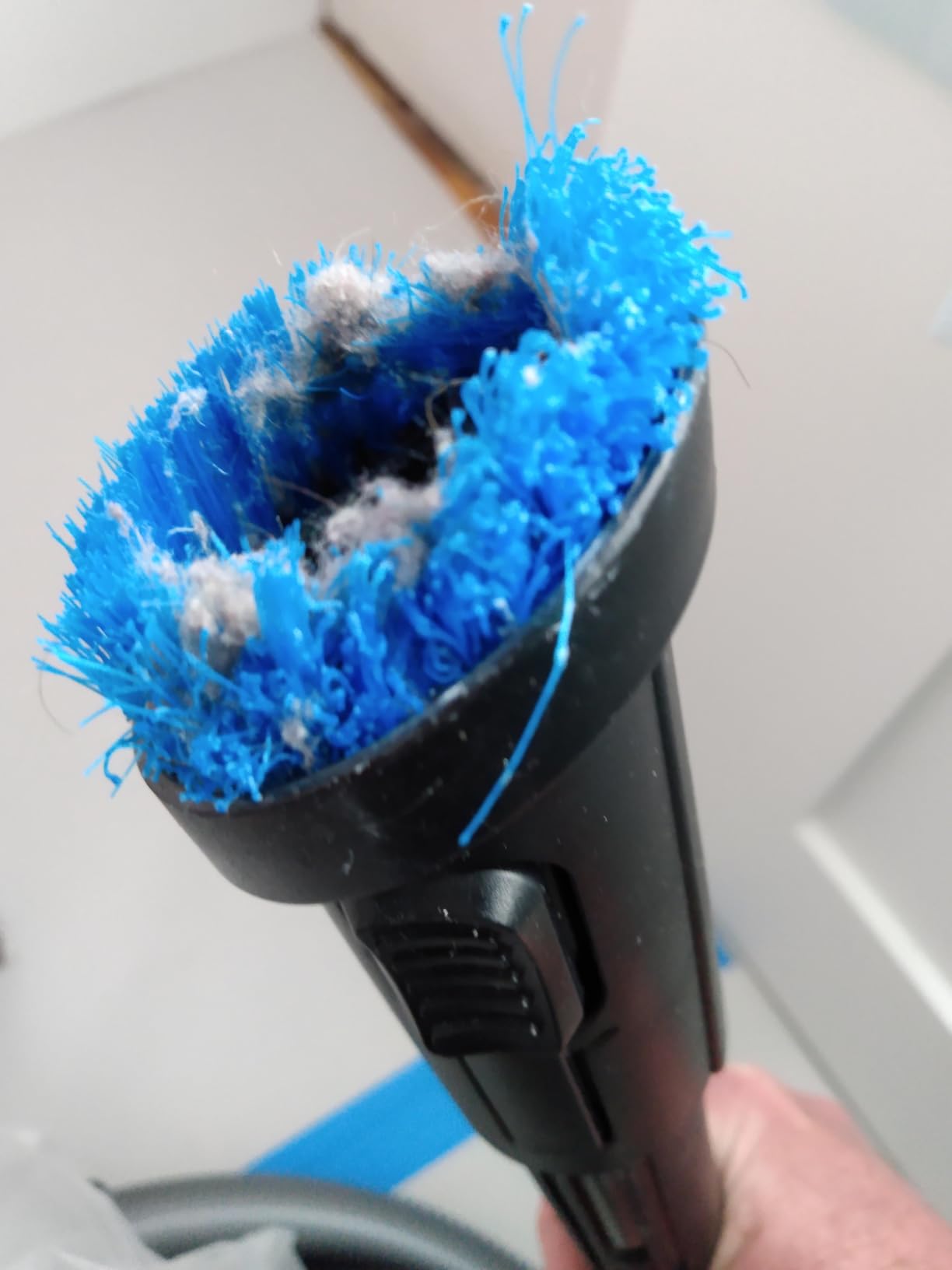 Eureka WhirlWind Bagless Canister 2.5L Vacuum Cleaner, Lightweight Vac for Carpets and Hard Floors, NEN110A, Blue Customer Review Eureka WhirlWind Bagless Canister 2.5L Vacuum Cleaner, Lightweight Vac for Carpets and Hard Floors, NEN110A, Blue - Customer Photo 3