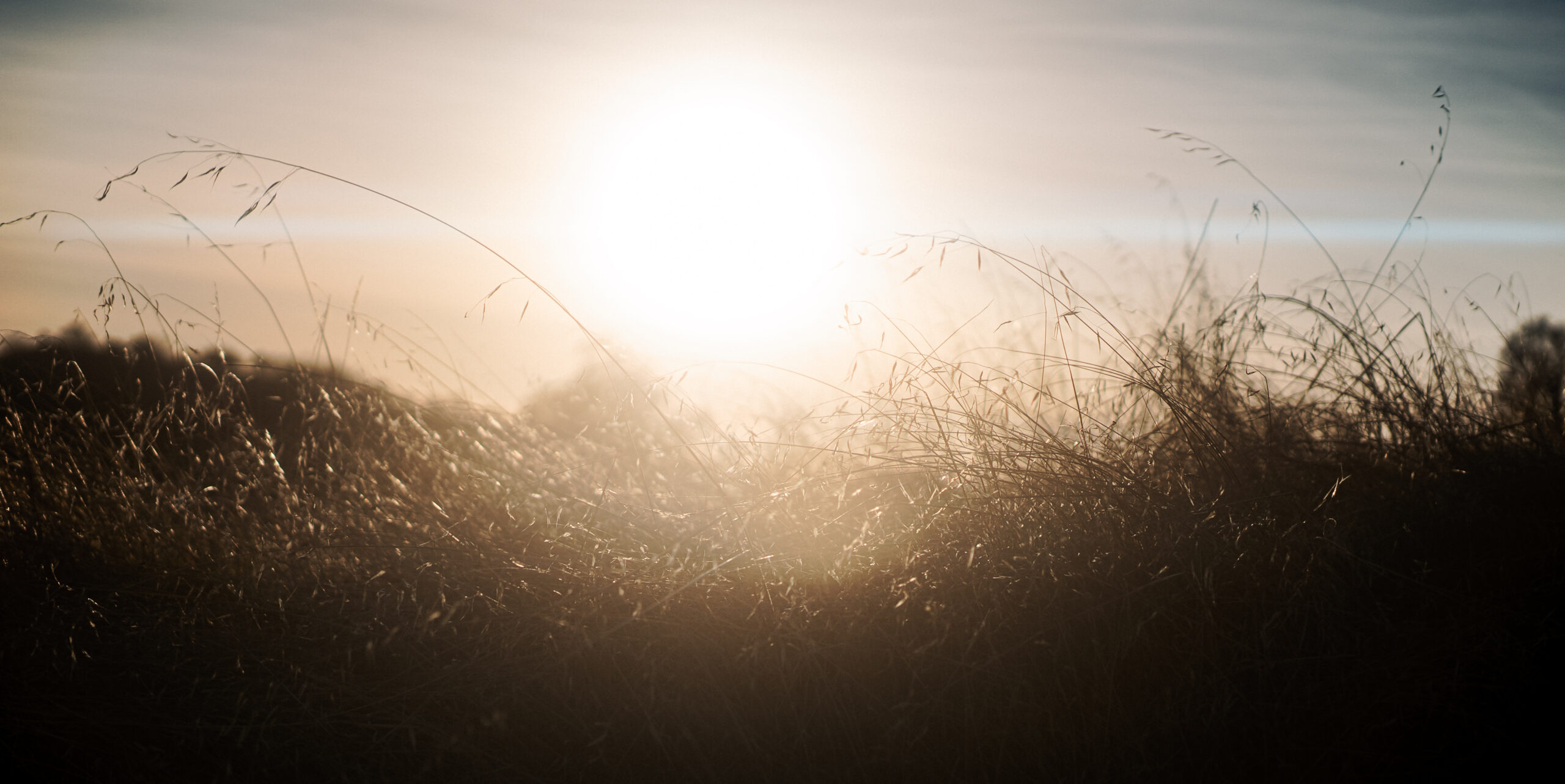 SIRUI 50mm F1.8 1.33X APS-C Anamorphic Lens for E Mount, Blue Flare - Customer Photo 2