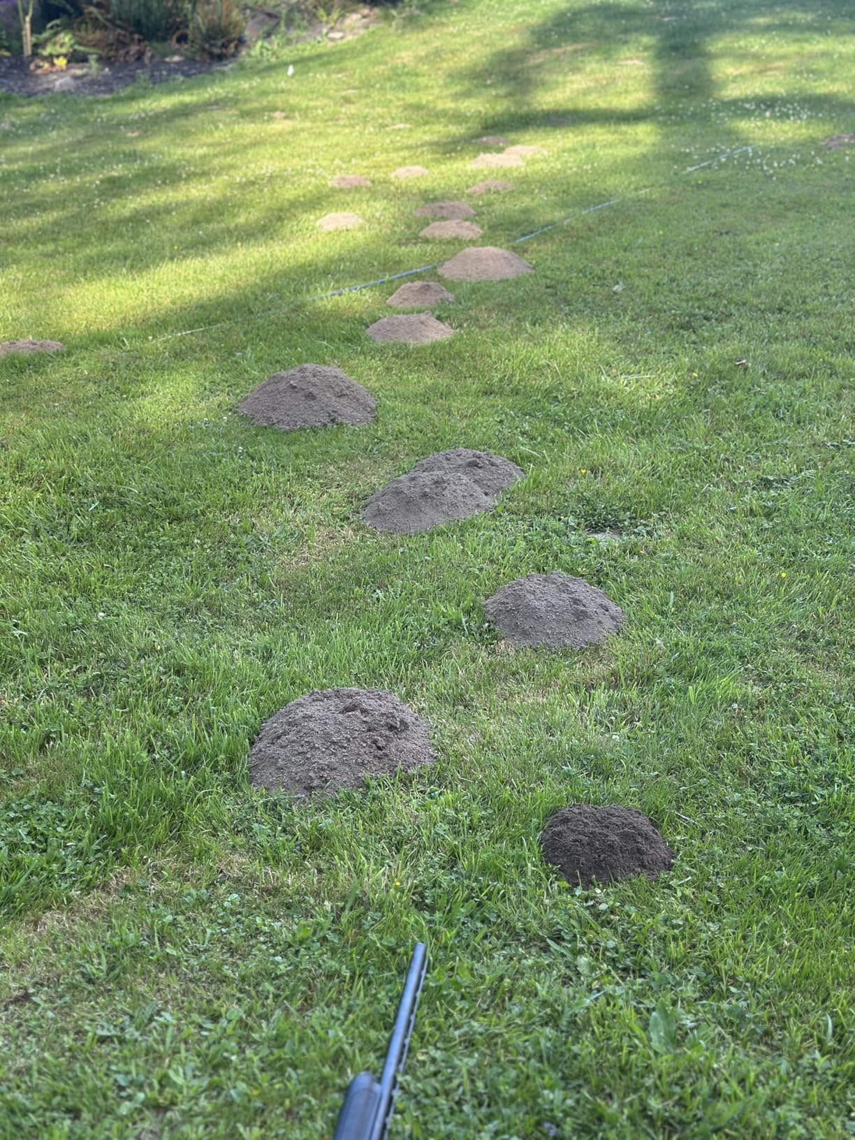 Victor Mole and Gopher Sonic Spike, 2-Pack | Chemical Free Outdoor Mole and Gopher Repellent for Lawns, 95 ft Diameter Coverage, Safe for Use Around People and Pets customer photo 2