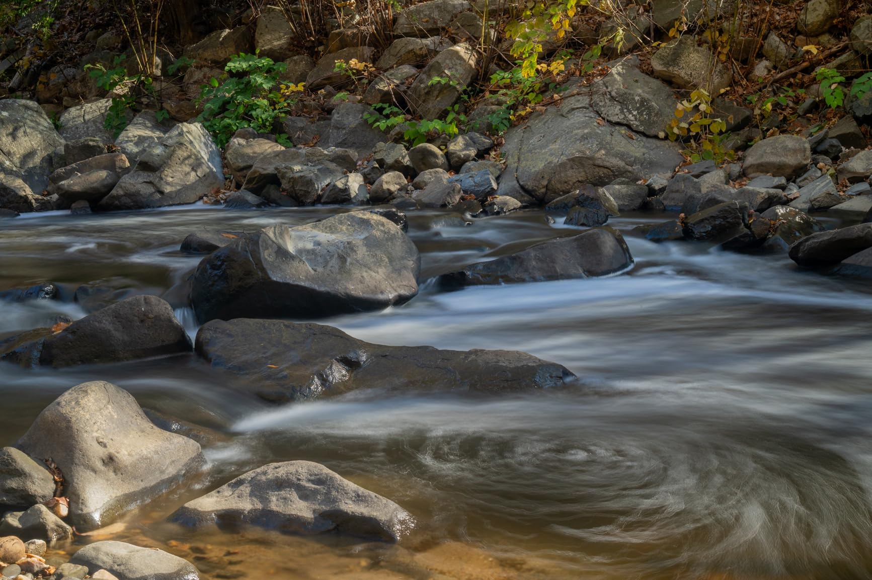 NIKKOR Z 24-70mm f/2.8 S | Professional large aperture mid-range zoom lens for Z series mirrorless cameras - Customer Photo 1