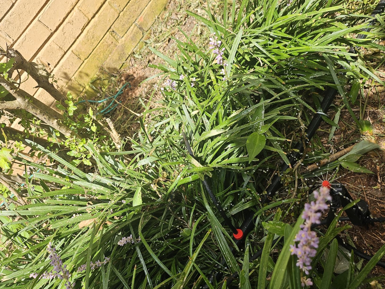 Rain Bird LNDDRIPKIT Drip Irrigation Kit customer photo 1