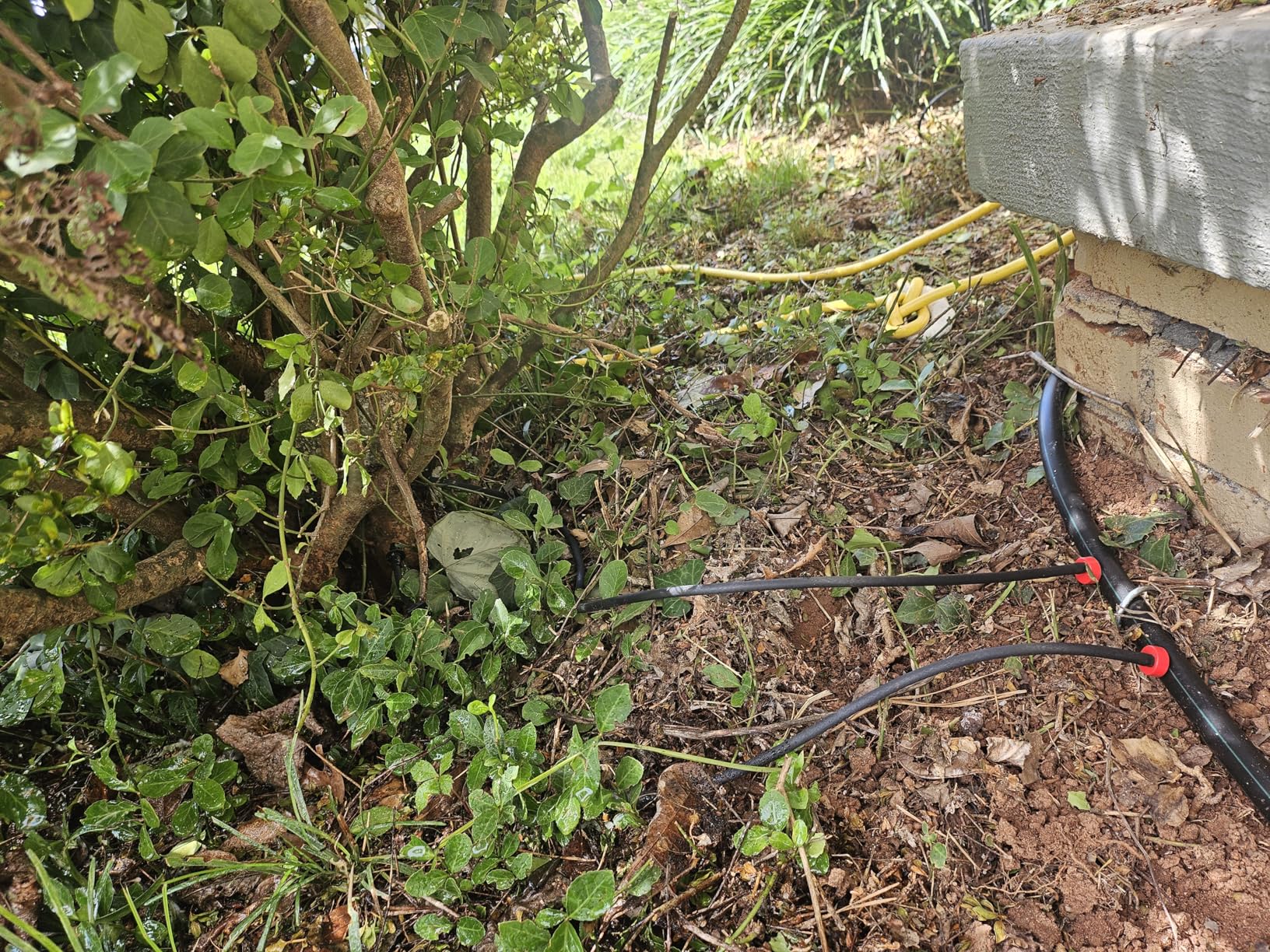 Rain Bird LNDDRIPKIT Drip Irrigation Kit customer photo 2