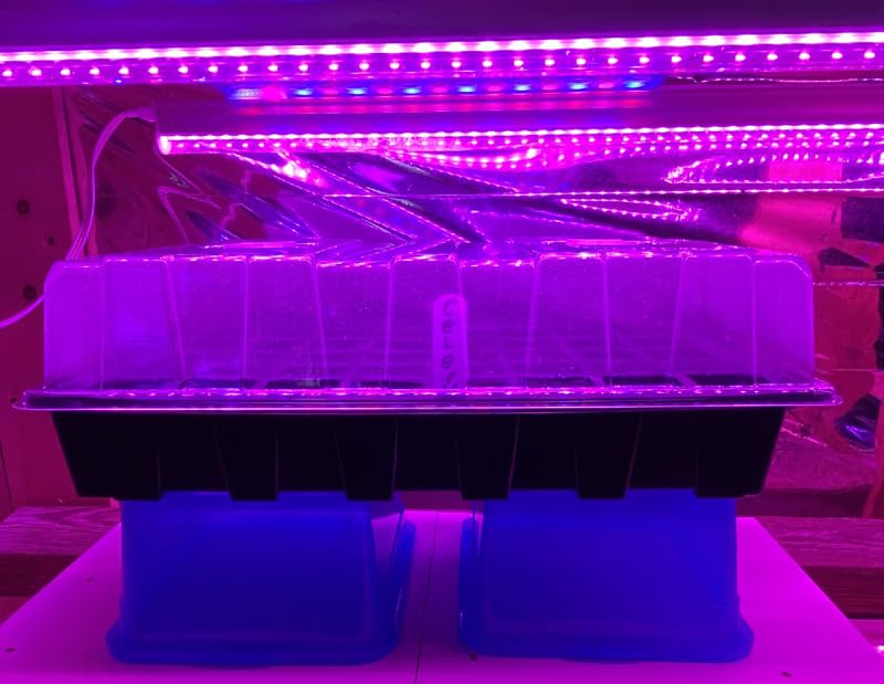 Gardzen 5-Set Seed Starter Tray Kits, Durable Plant Germination Trays with Humidity Vented Domes and Bases, Ideal for Seed Starting, Indoor Gardening, and Greenhouse (Total 200 Cells) customer photo 1