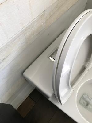 WOODBRIDGE T-0018/B-0735 Dual Flush Elongated One Piece Soft Closing Seat, Comfort Height, White T-0018/B0735, Modern Toilet Customer Review WOODBRIDGE T-0018/B-0735 Dual Flush Elongated One Piece Soft Closing Seat, Comfort Height, White T-0018/B0735, Modern Toilet - Customer Photo 1