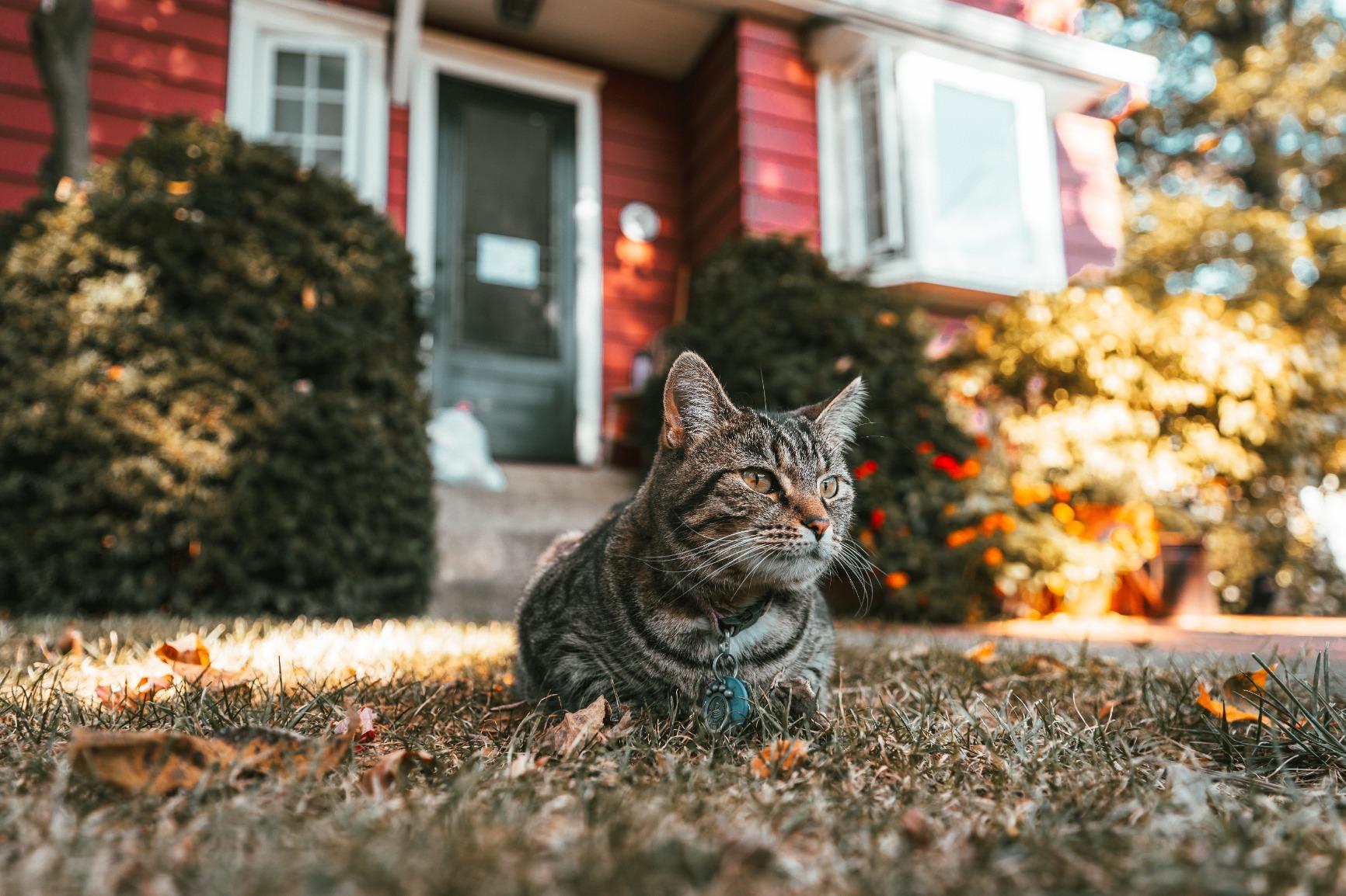 Tamron 17-28mm f/2.8 Di III RXD for Sony Mirrorless Full Frame/APS-C E Mount - Customer Photo 2