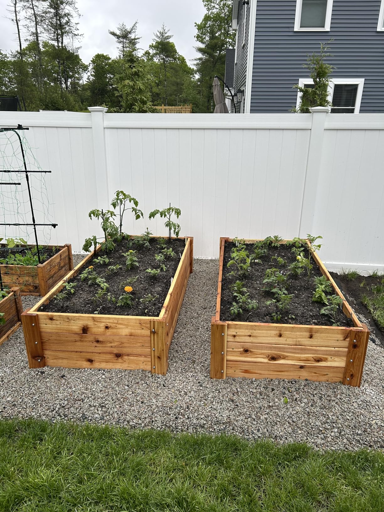 Infinite Cedar Deep Root Cedar Raised Bed Garden Kit customer photo 1
