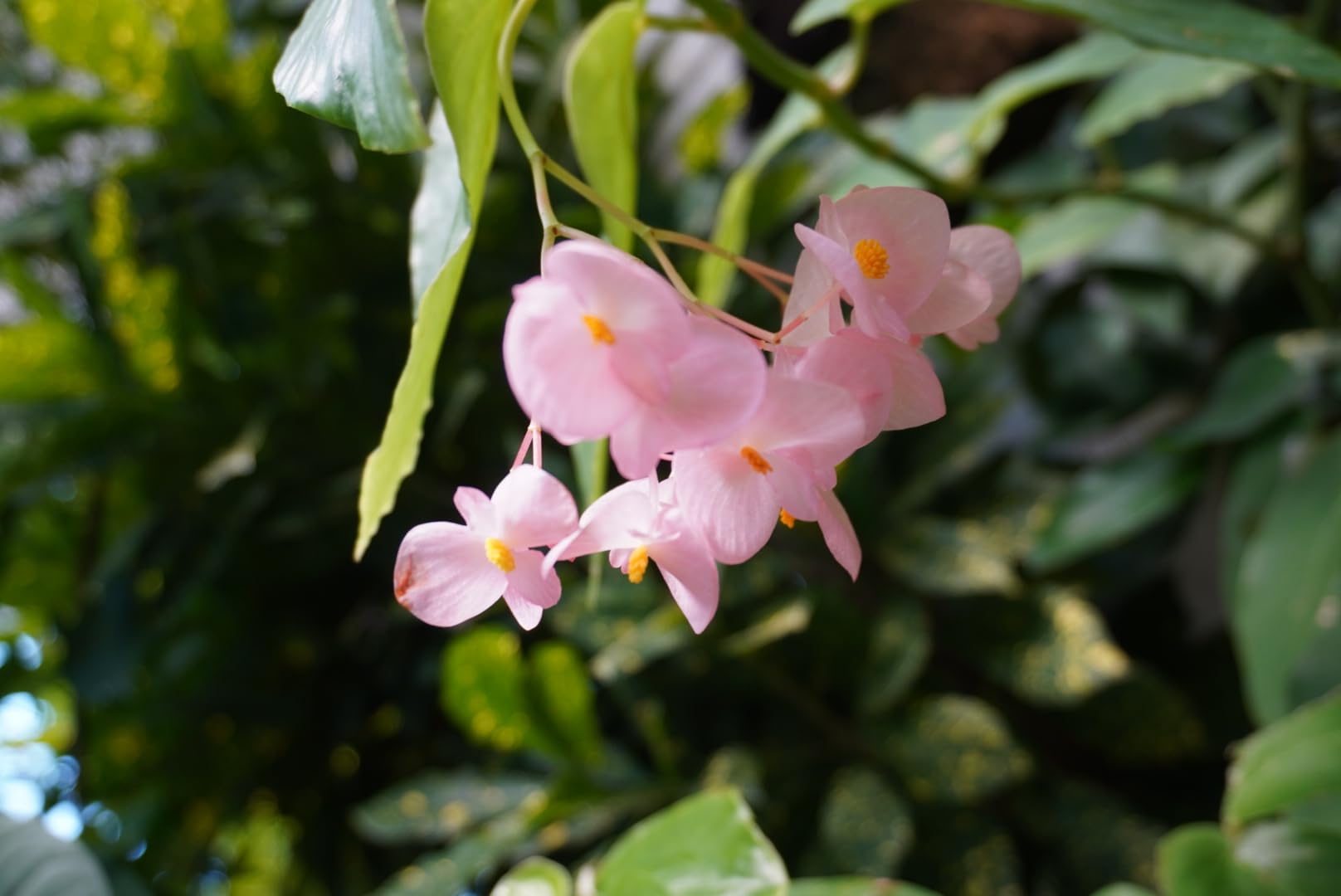 Sony Alpha A6100 Mirrorless Camera Customer Review Sony Alpha A6100 Mirrorless Camera - Customer Photo 4