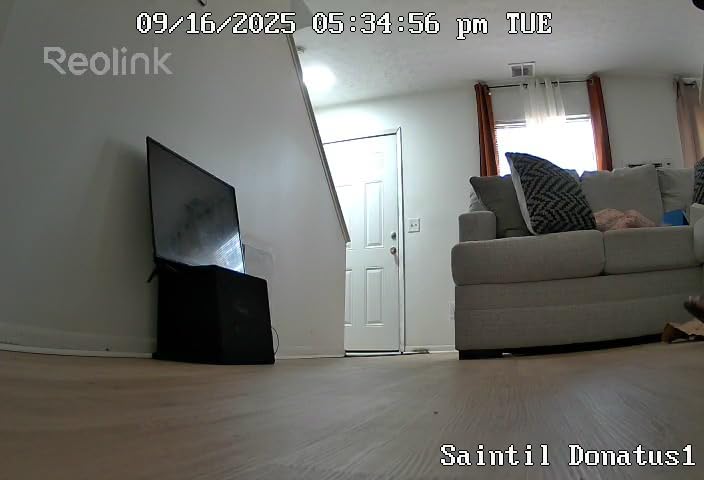 REOLINK 4MP 2K Indoor Camera E1, Plug-in WiFi 6 Security Camera | 360 Degree Pet Camera with Phone app, Baby Monitor with Person/Pet/Cry Detection, Night Vision, 2-Way Talk, Local Storage customer photo 1