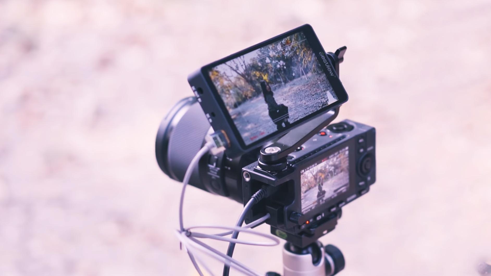 Sigma fp Mirrorless Full-Frame Digital Camera with 45mm f/2.8 Contemporary DG DN Lens - Customer Photo 1