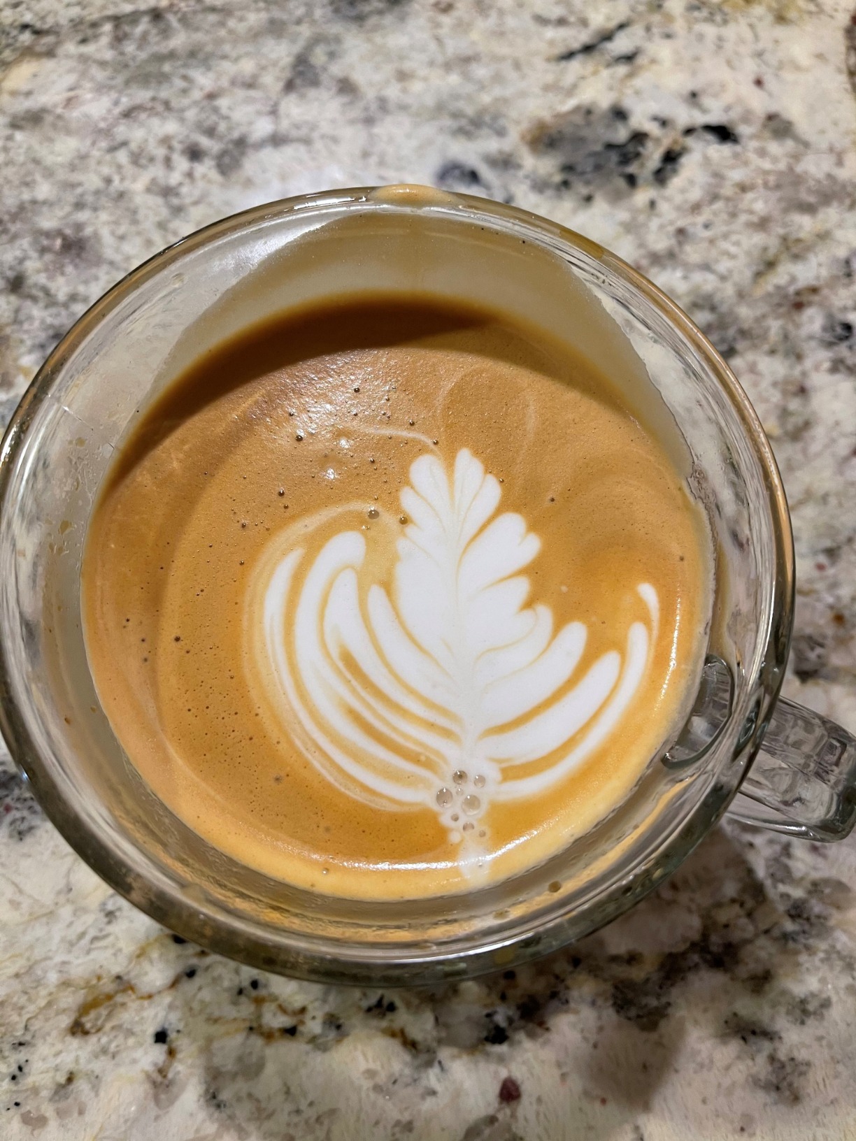 Breville Barista Pro Espresso Machine BES878BSS, Brushed Stainless Steel Customer Review Breville Barista Pro Espresso Machine BES878BSS, Brushed Stainless Steel - Customer Photo 1