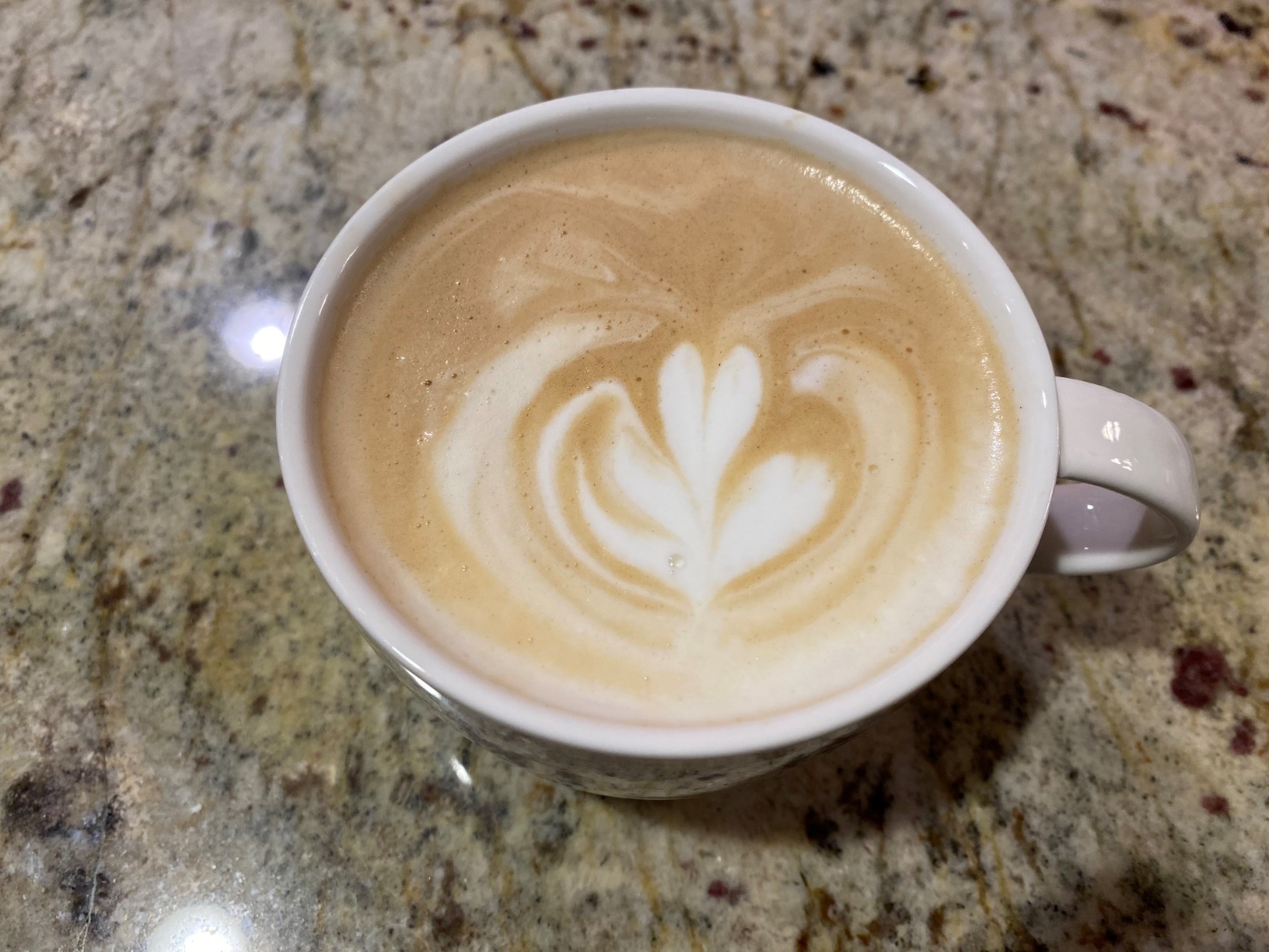 Breville Barista Pro Espresso Machine BES878BSS, Brushed Stainless Steel Customer Review Breville Barista Pro Espresso Machine BES878BSS, Brushed Stainless Steel - Customer Photo 2