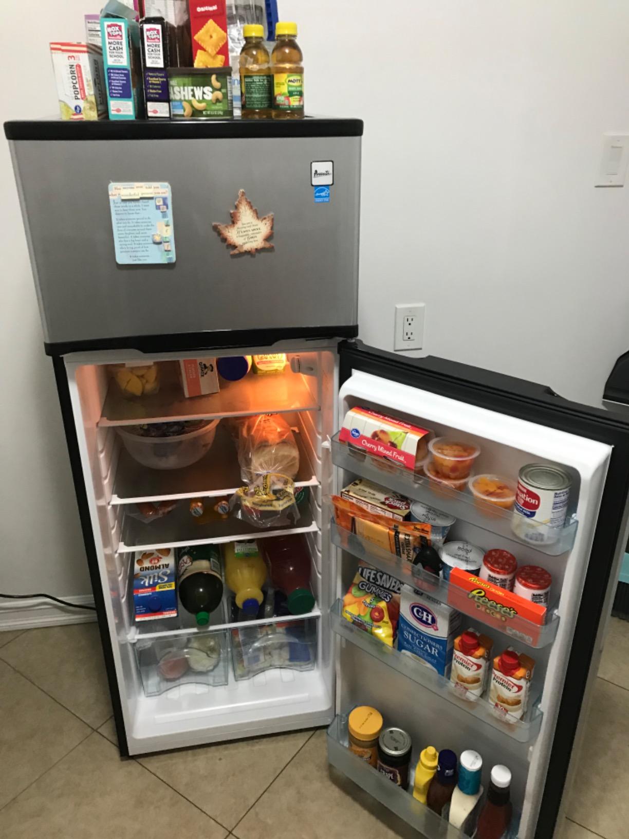 Avanti 15.6 cu. ft. Side-by-Side Apartment Refrigerator with Freezer, Compact Counter-Depth Fridge for Small Spaces, Stainless Steel Customer Review Avanti 15.6 cu. ft. Side-by-Side Apartment Refrigerator with Freezer, Compact Counter-Depth Fridge for Small Spaces, Stainless Steel - Customer Photo 1