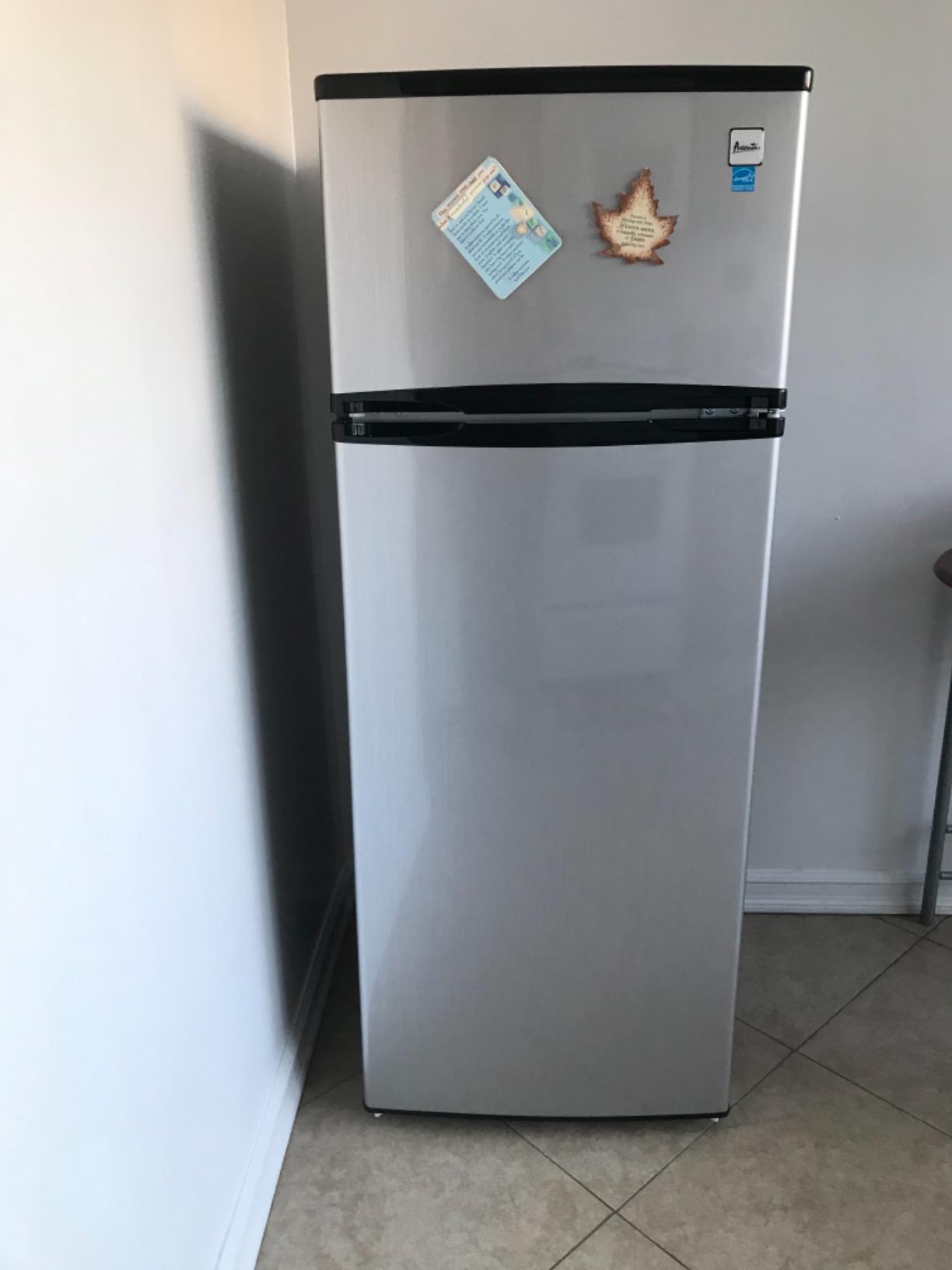 Avanti 15.6 cu. ft. Side-by-Side Apartment Refrigerator with Freezer, Compact Counter-Depth Fridge for Small Spaces, Stainless Steel Customer Review Avanti 15.6 cu. ft. Side-by-Side Apartment Refrigerator with Freezer, Compact Counter-Depth Fridge for Small Spaces, Stainless Steel - Customer Photo 2