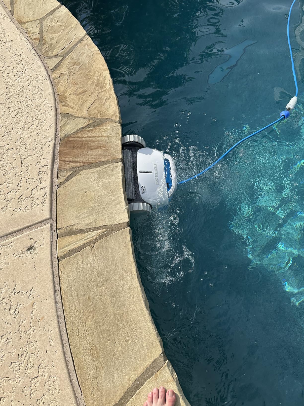 Dolphin Proteus DX3 Automatic Robotic Pool Vacuum Cleaner, Wall Climbing, Active Scrubber Brush, Ideal for In-ground Pools up to 33 FT in Length customer photo 1