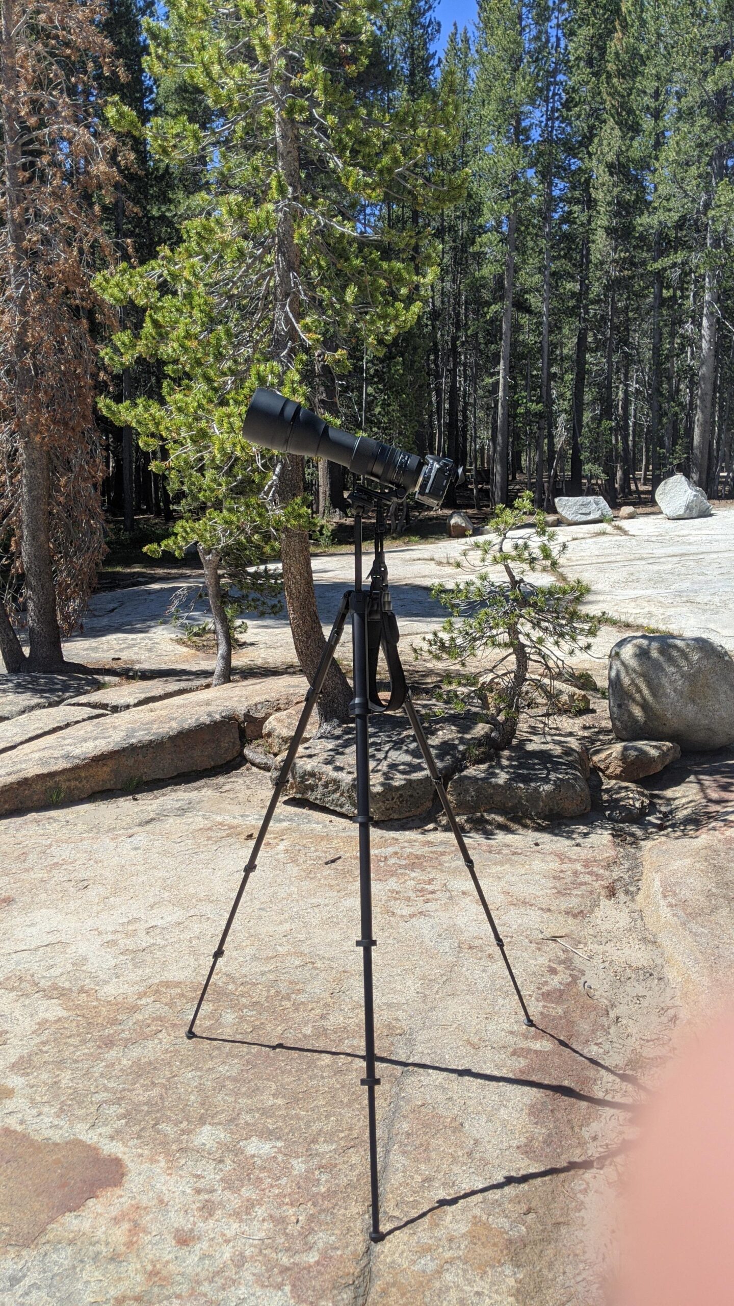 Peak Design Travel Tripod, Aluminum, Compact Design, Quick Setup and Takedown, Pro-Level Stability, Ergonomic Ball Head, Compact and Portable Travel Tripod for Camera and Phone, 20 lb Capacity Customer Review Peak Design Travel Tripod, Aluminum, Compact Design, Quick Setup and Takedown, Pro-Level Stability, Ergonomic Ball Head, Compact and Portable Travel Tripod for Camera and Phone, 20 lb Capacity - Customer Photo 2