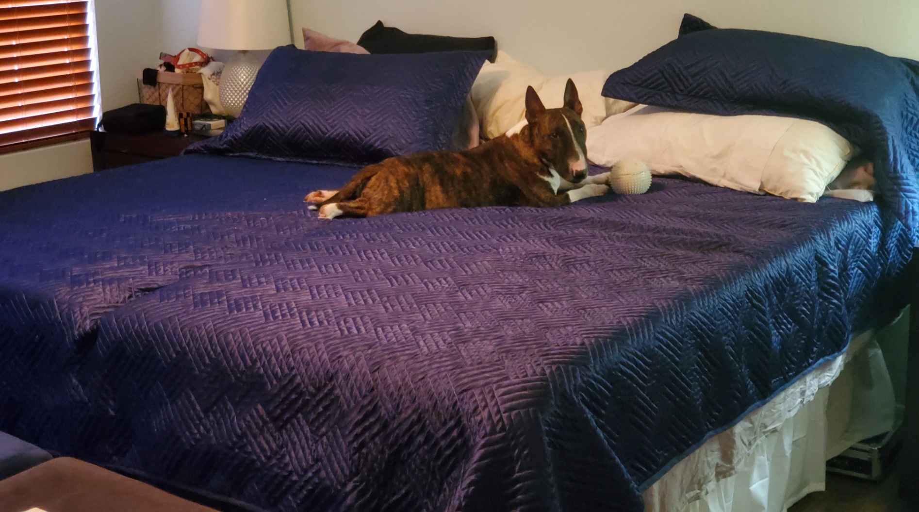 Sven and Son Essential Adjustable Bed Base (Frame Only), Easy Assembly, Head and Foot Lift, Memory Positions, Zero Gravity, Wireless Remote - Queen - Customer Photo 2