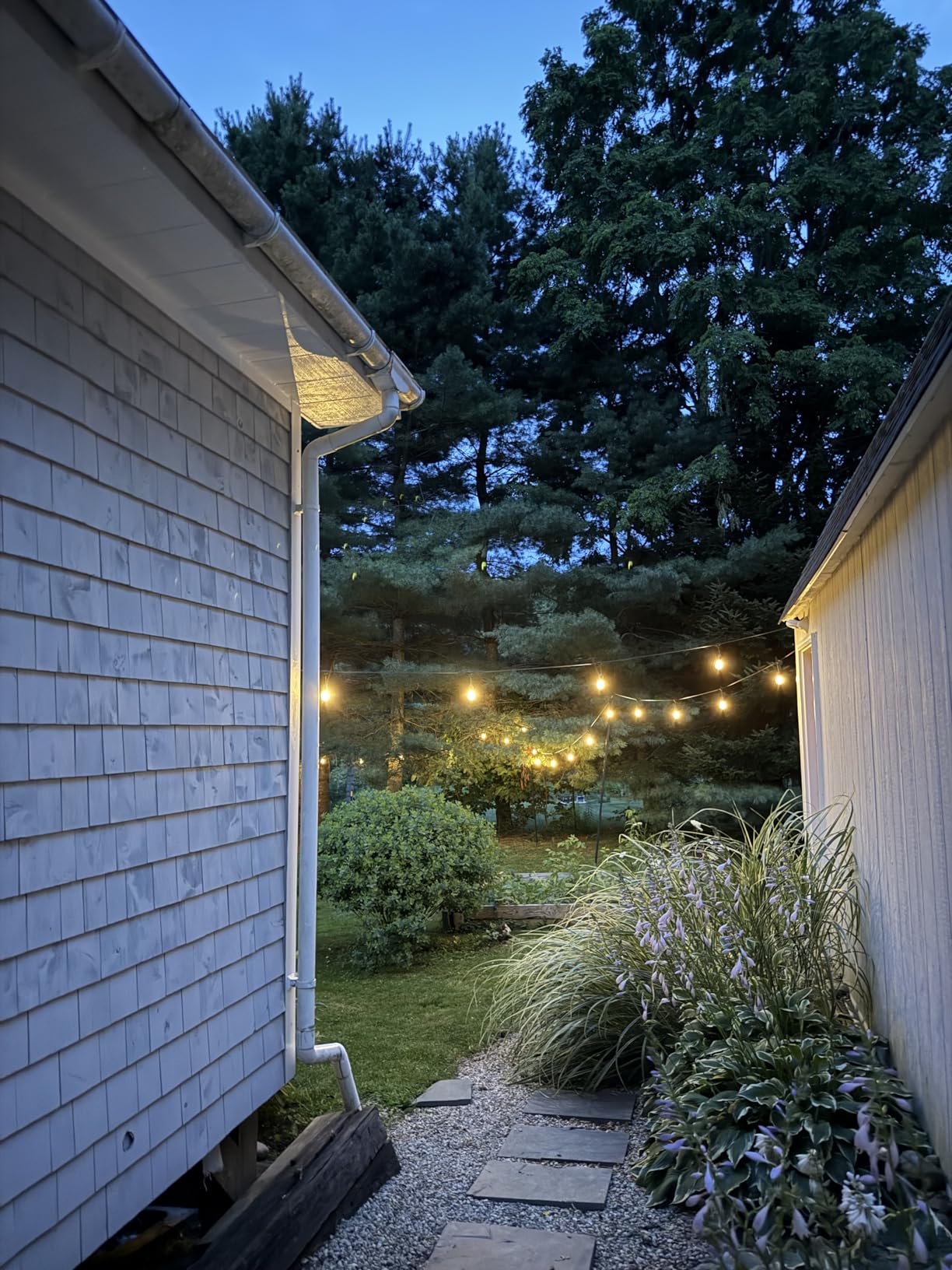 Svater Outdoor String Lights Led 105FT, Commercial Grade Patio Light with 1W Dimmable S14 Shatterproof Bulbs, ETL Listed Heavy-Duty Outside Waterproof Cafe Bistro Market Lighting Warm White customer photo 1