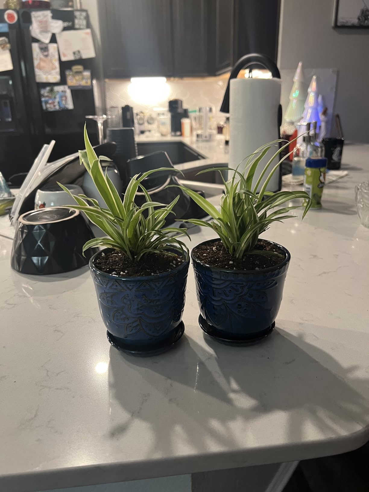 Gepege Ceramic Plant Pots, 6 Inch Indoor Planters with Drainage & Saucers | Ceramic pots for plants with drainage holes, ceramic saucers and mesh pads, ideal for flowers, herbs and succulents, set of 2 customer photo 1