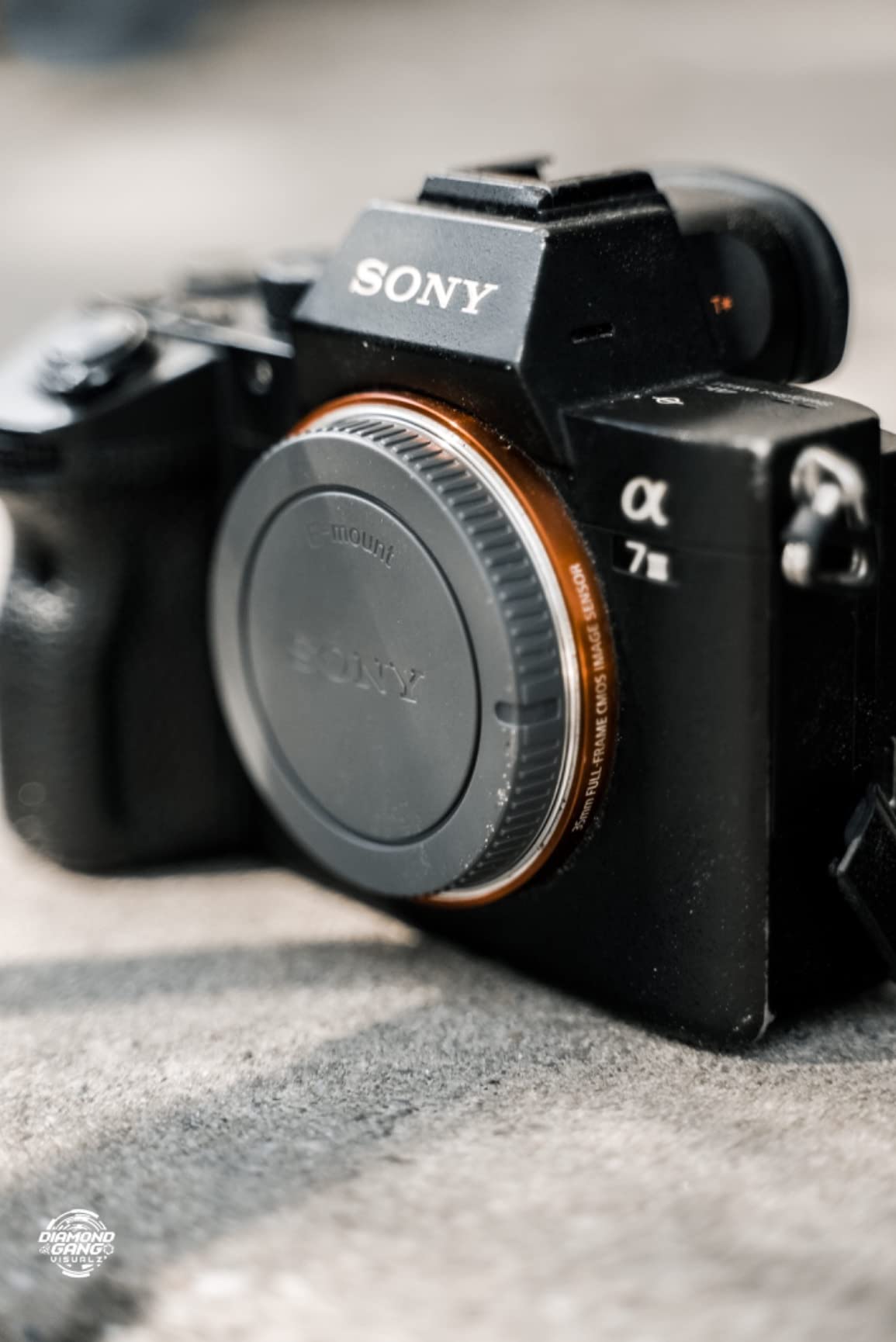 Sony NEW Alpha 7S III Full-frame Interchangeable Lens Mirrorless Camera Customer Review Sony NEW Alpha 7S III Full-frame Interchangeable Lens Mirrorless Camera - Customer Photo 5