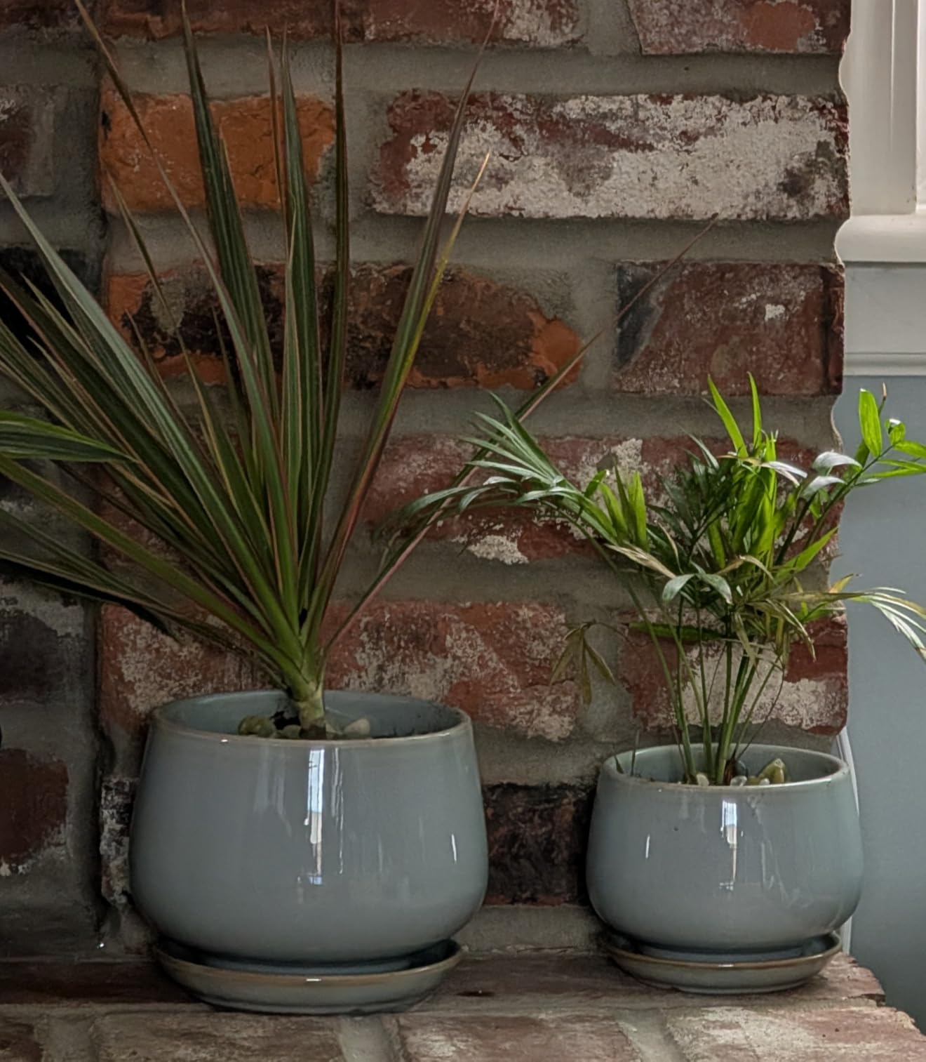 LE TAUCI Plant Pots, 4.1+5.1+6.5 inch, Set of 3, Ceramic Planters with Drainage Hole and Saucer, Indoor Flower Pot with Hole Mesh Pad, Gifts for Mom, Reactive Glaze Beige customer photo 2