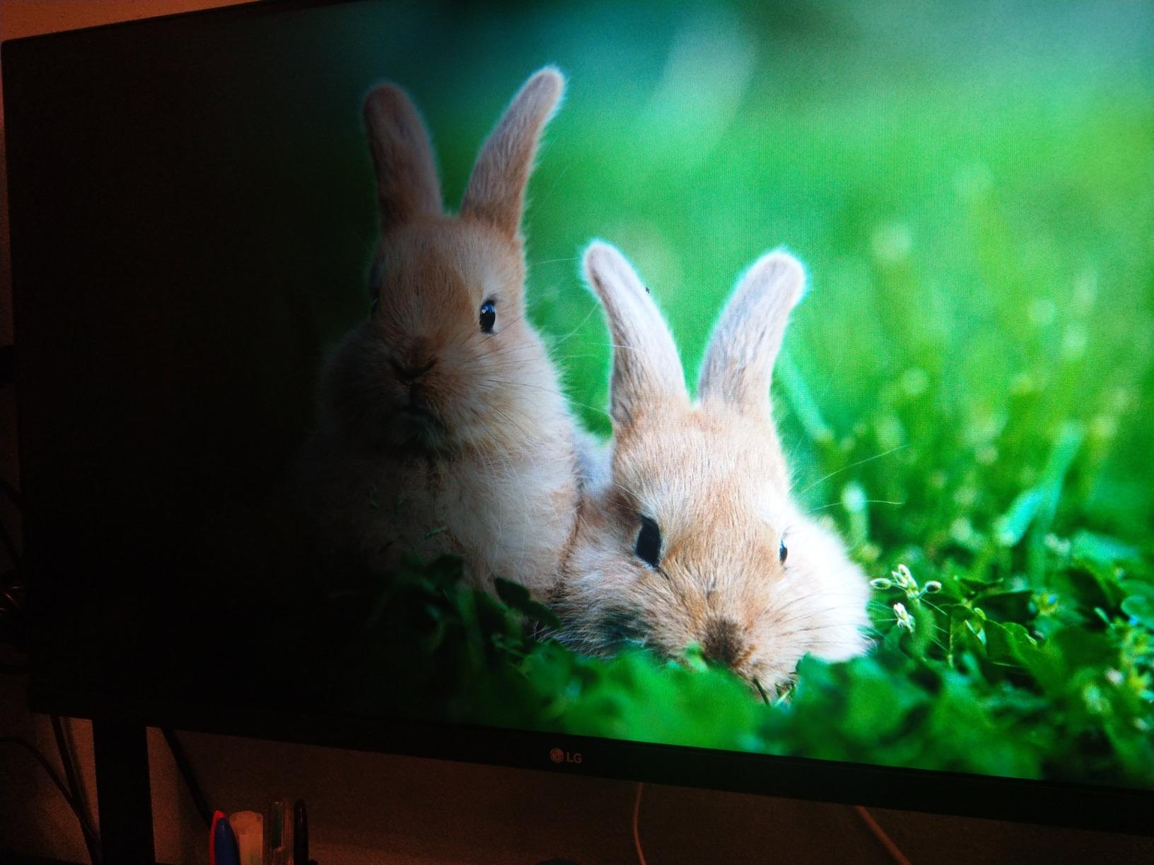 LG 32UN650-W Monitor 32 LG 32UN650-W Monitor 32