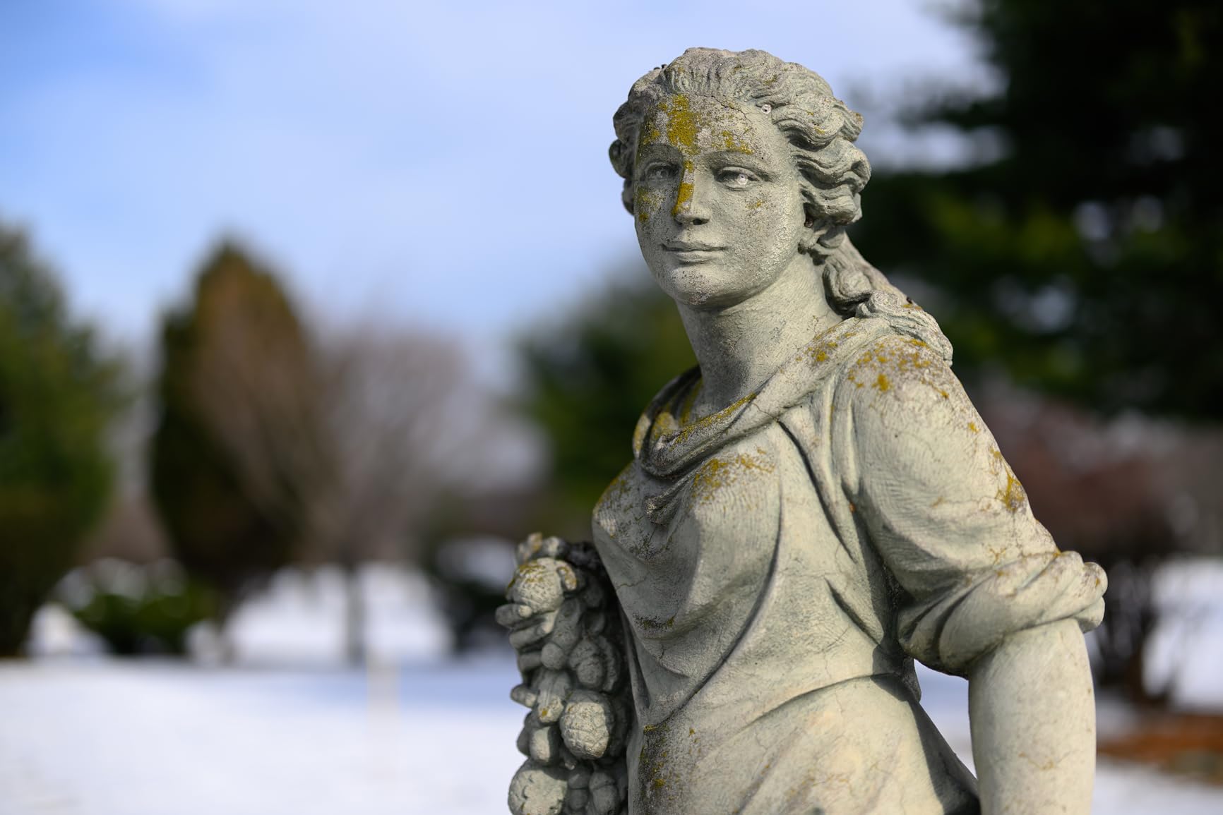 Nikon NIKKOR Z 50mm f/1.2 S | Professional extra-large aperture 50mm prime lens for Z series mirrorless cameras | Nikon USA Model Customer Review Nikon NIKKOR Z 50mm f/1.2 S | Professional extra-large aperture 50mm prime lens for Z series mirrorless cameras | Nikon USA Model - Customer Photo 1