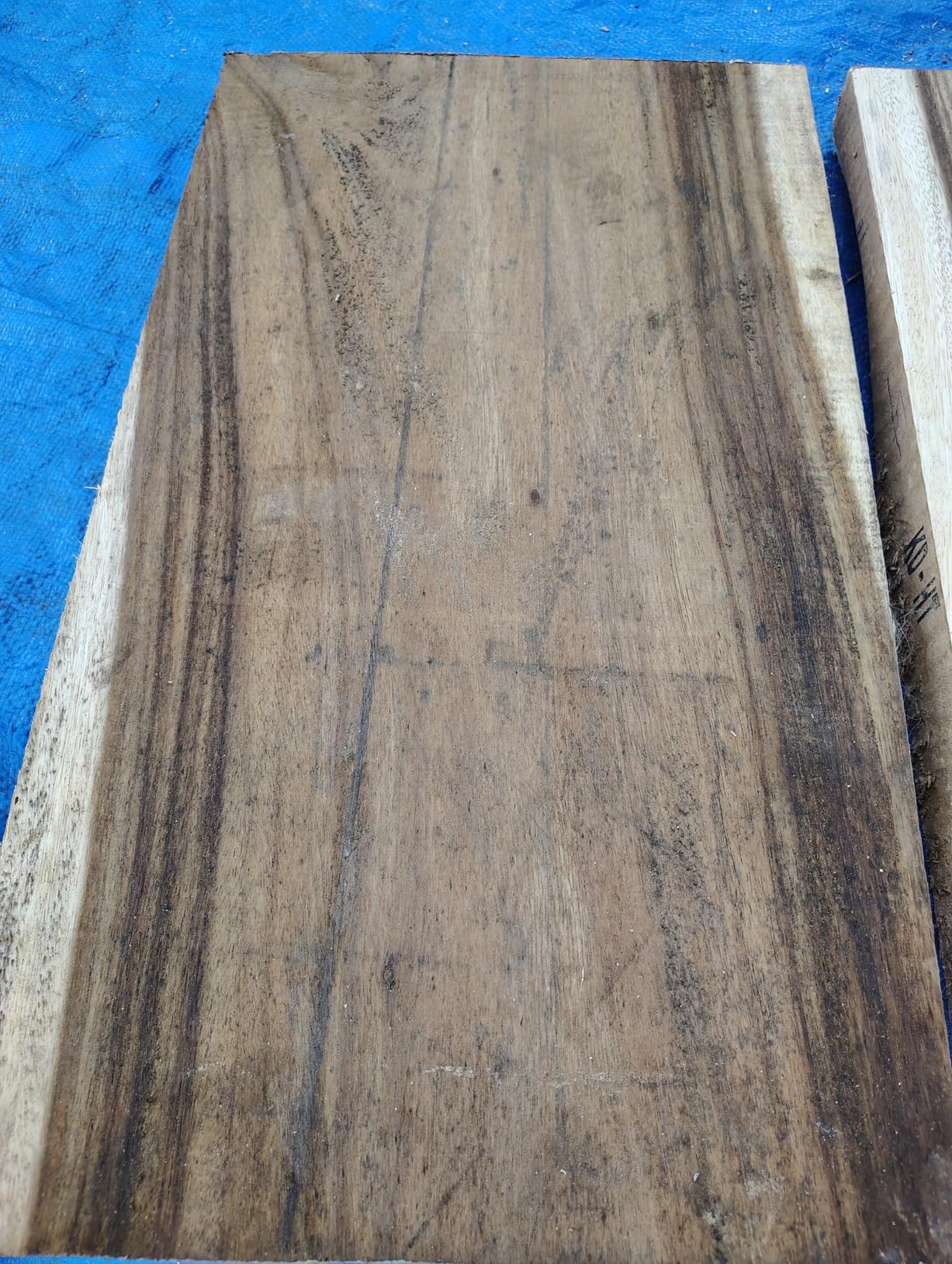WEN PL1326 15-Amp 13-Inch Spiral Benchtop Thickness Planer Customer Review WEN PL1326 15-Amp 13-Inch Spiral Benchtop Thickness Planer - Customer Photo 1