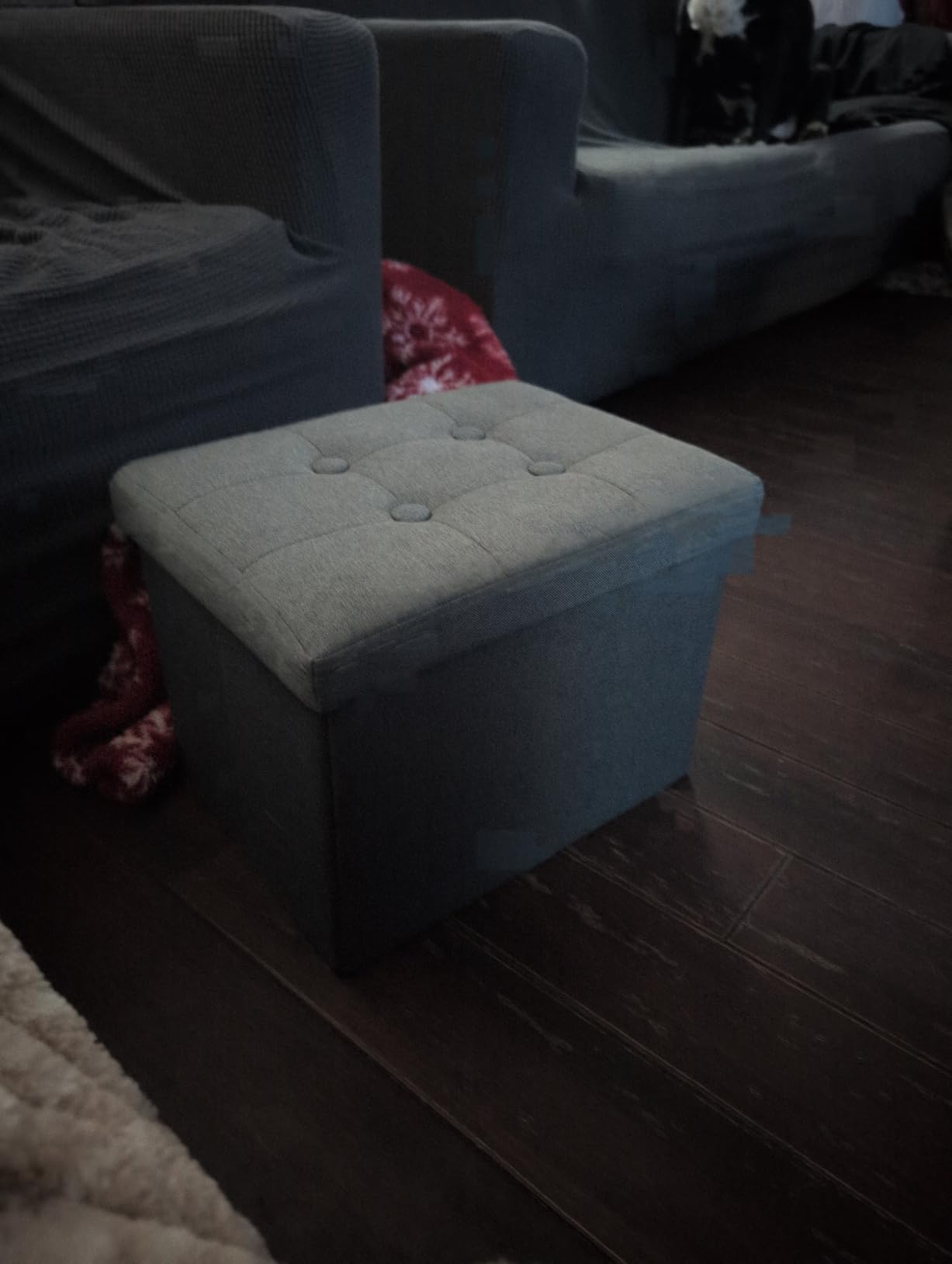 ALASDO Storage Ottoman Footrest Stool Small Ottoman with Storage Foldable Ottomans Foot Rest Footstool Bench for Living Room 17x13x13inches Grey Customer Review ALASDO Storage Ottoman Footrest Stool Small Ottoman with Storage Foldable Ottomans Foot Rest Footstool Bench for Living Room 17x13x13inches Grey - Customer Photo 1