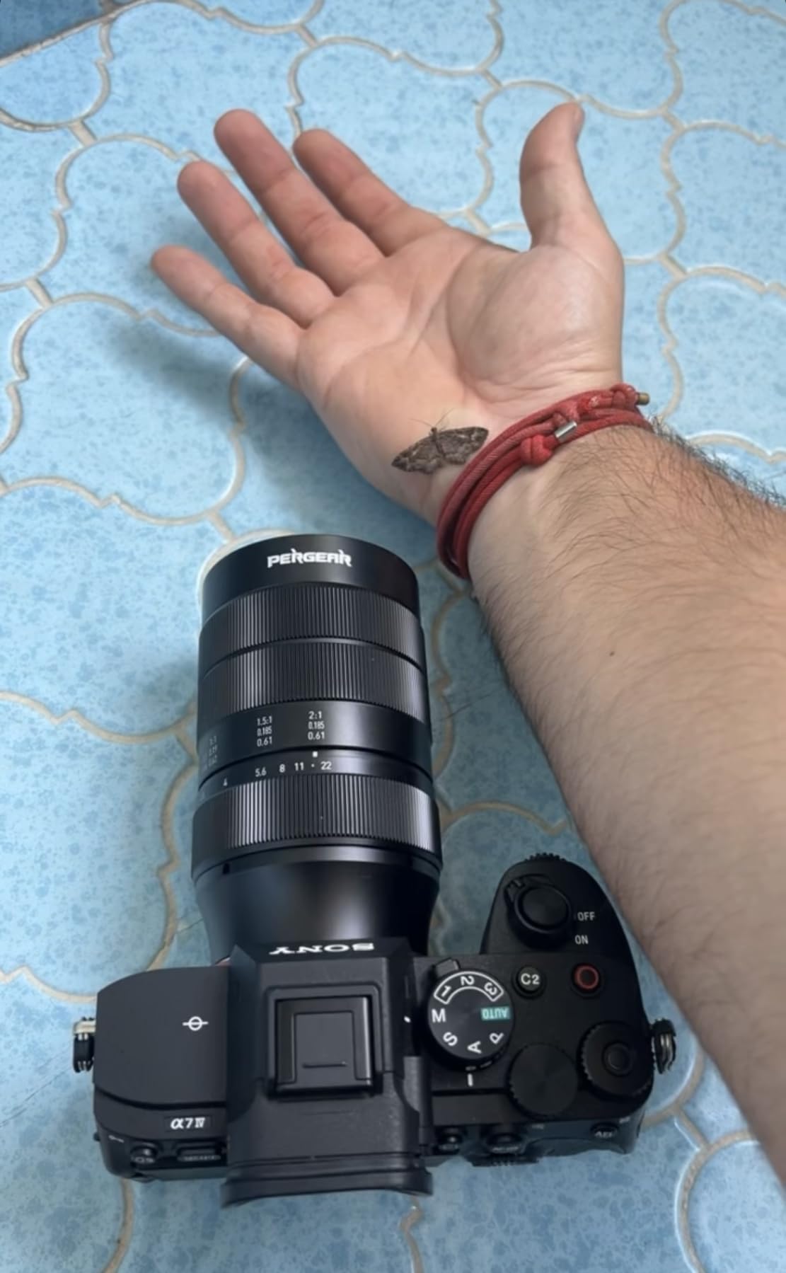 PERGEAR 60mm F2.8 II Ultra-Macro Lens with 2X Magnification, Compatible with Sony E-Mount Cameras Sony E-Mount Mirrorless Cameras Alpha a7 a7II a7III a7R a7RII a7RIII a7RIV a7S a7SII a9 a7C - Customer Photo 1