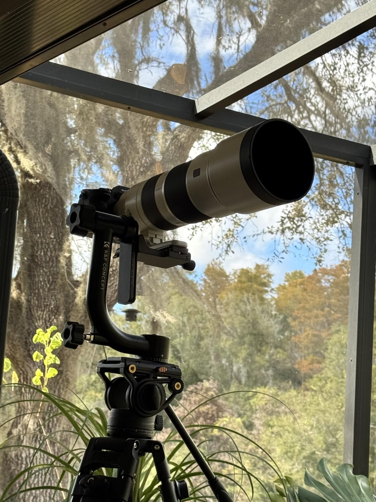 K&F CONCEPT Aluminum Alloy 360 Degree Panoramic Gimbal Tripod Head with 1/4'' Standard Quick Release Plate and Bubble Level,Load Capacity up to 20kg/44lbs customer photo 1