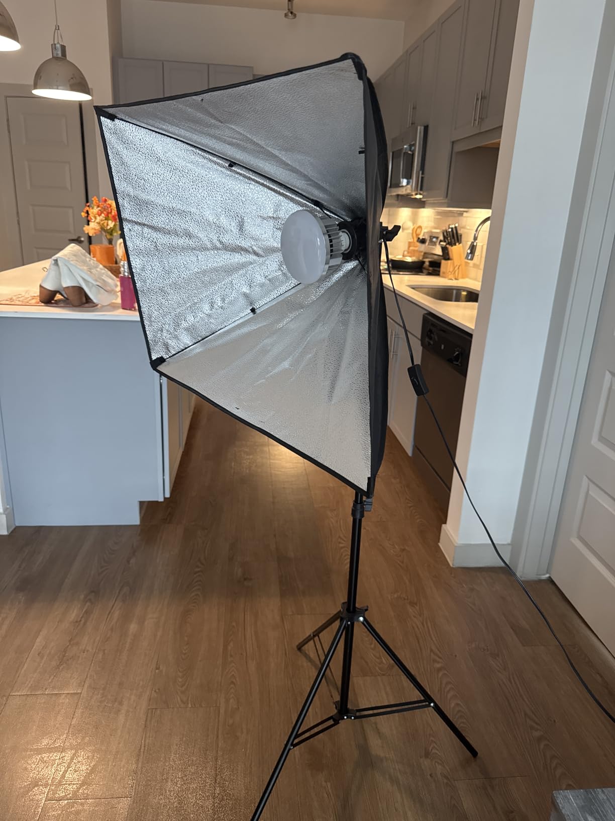 Skytex Softbox Lighting Kit(2Pack), 20x28in Soft Box | 85W 2700-6400K E27 LED Bulb Continuous Photography Lighting, Photo Studio Lights Equipment for Camera Shooting, Video Recording Customer Review Skytex Softbox Lighting Kit(2Pack), 20x28in Soft Box | 85W 2700-6400K E27 LED Bulb Continuous Photography Lighting, Photo Studio Lights Equipment for Camera Shooting, Video Recording - Customer Photo 1