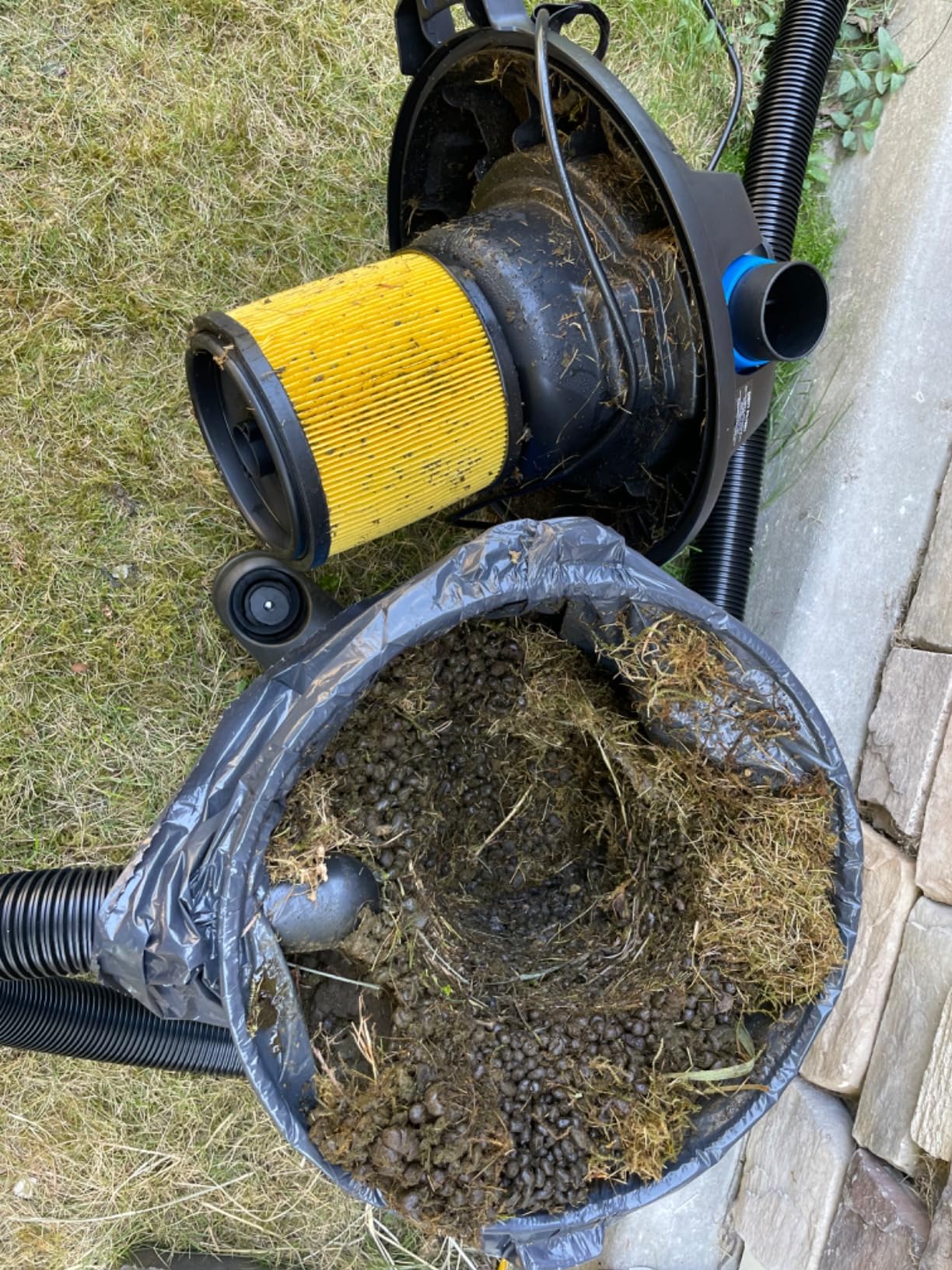 Vacmaster Wet/Dry Vacuum with Detachable Blower 6 Gallon 5 Peak HP-VBVB611PF 1101 Customer Review Vacmaster Wet/Dry Vacuum with Detachable Blower 6 Gallon 5 Peak HP-VBVB611PF 1101 - Customer Photo 2