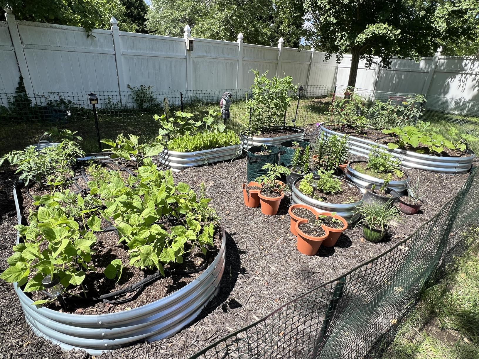 Land Guard Galvanized Raised Garden Bed Kit, Galvanized Planter Garden Boxes Outdoor, Oval Large Metal Raised Garden Beds for Vegetables customer photo 1