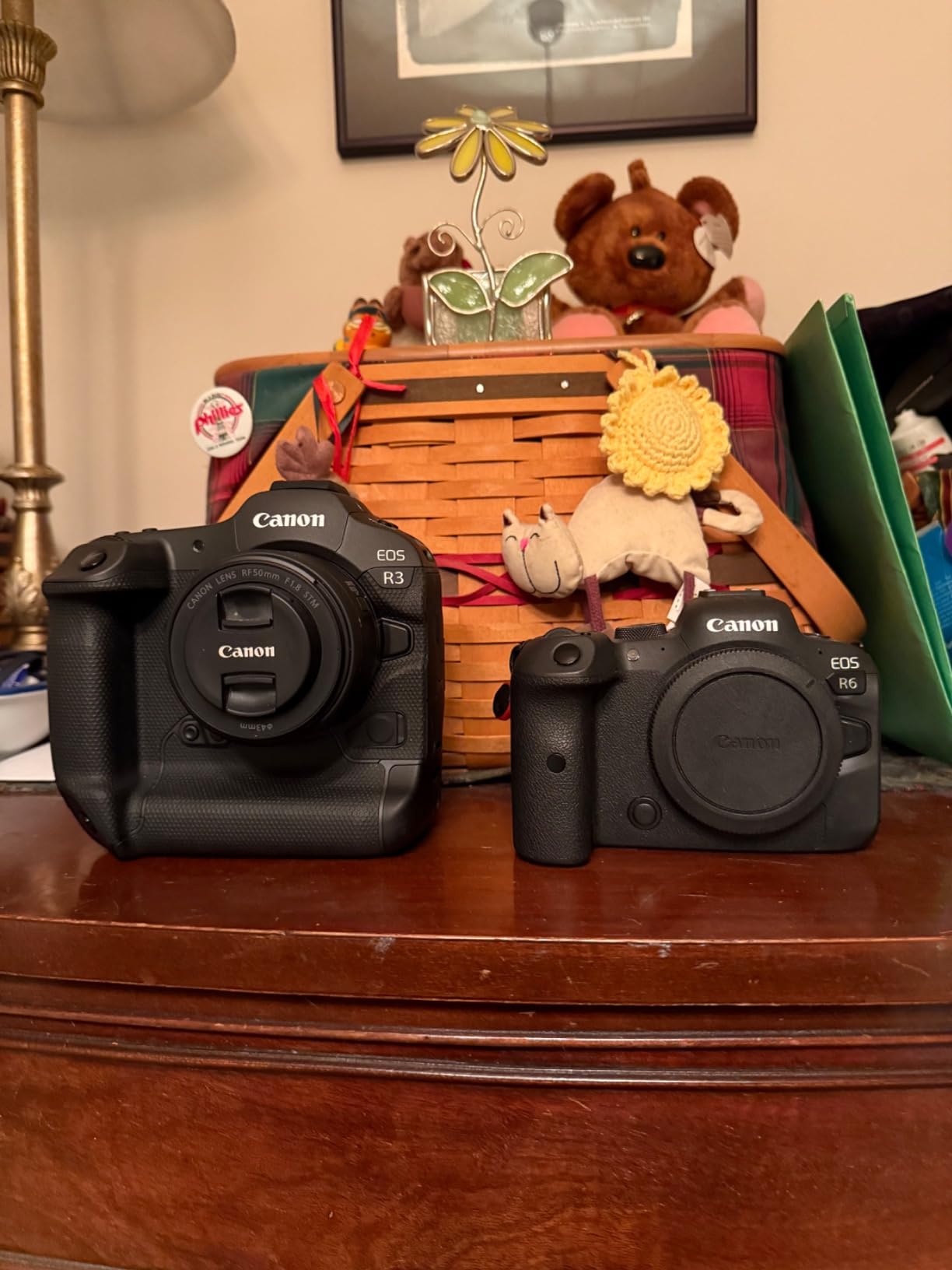 Canon EOS R3 Mirrorless Camera (Body Only) - 24.1MP Full-Frame Stacked Sensor, 6K 60p RAW, Eye Control AF - Customer Photo 2