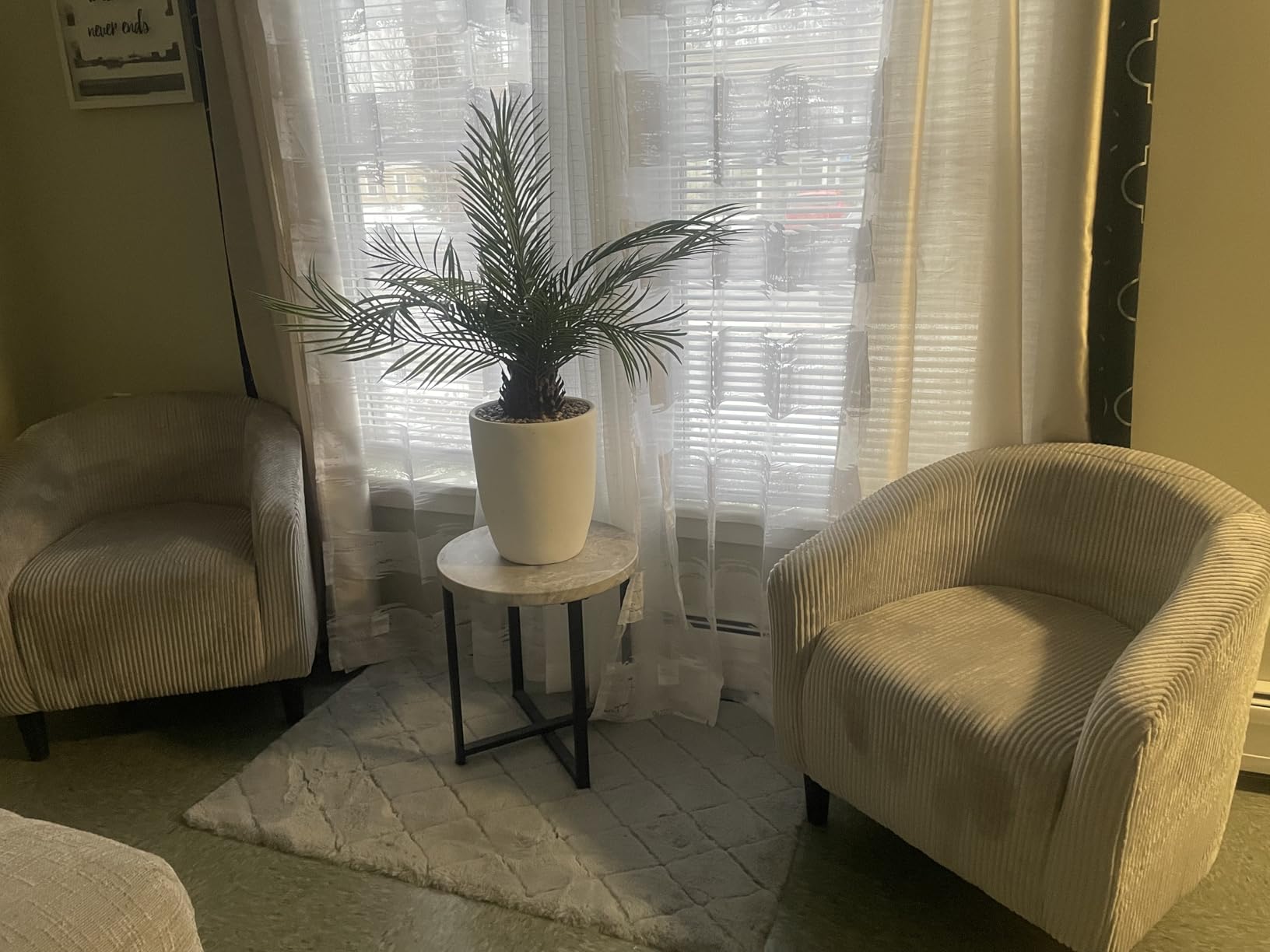 Yaheetech Barrel Chairs, Furry Accent Chairs with Soft Padded Armrest for Living Room Bedroom Waiting Room Office, Set of 2, Ivory Customer Review Yaheetech Barrel Chairs, Furry Accent Chairs with Soft Padded Armrest for Living Room Bedroom Waiting Room Office, Set of 2, Ivory - Customer Photo 1