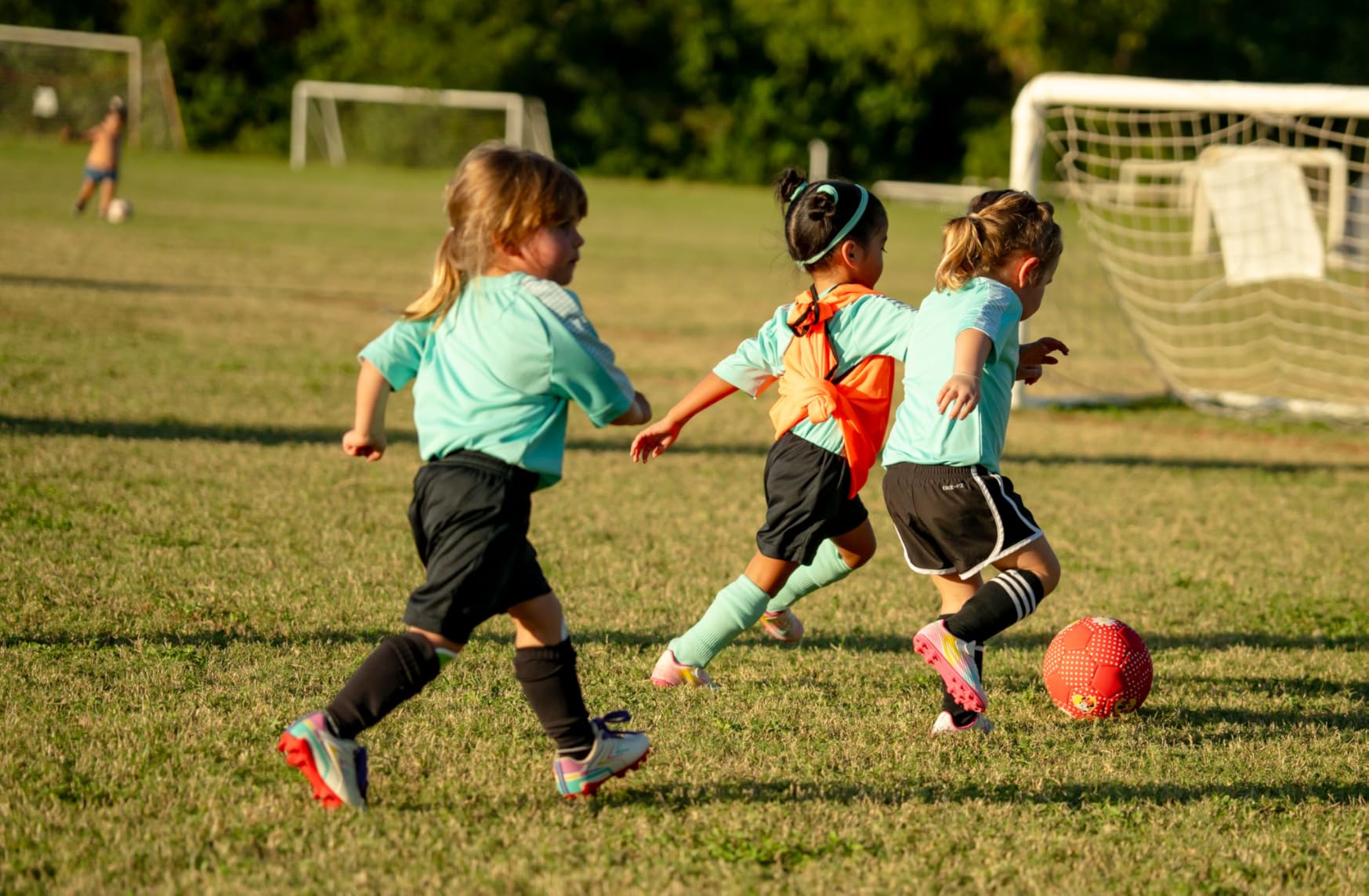 Sony FE 70-200mm F2.8 GM OSS II Full-Frame Constant-Aperture Telephoto Zoom G Master Lens - Customer Photo 2