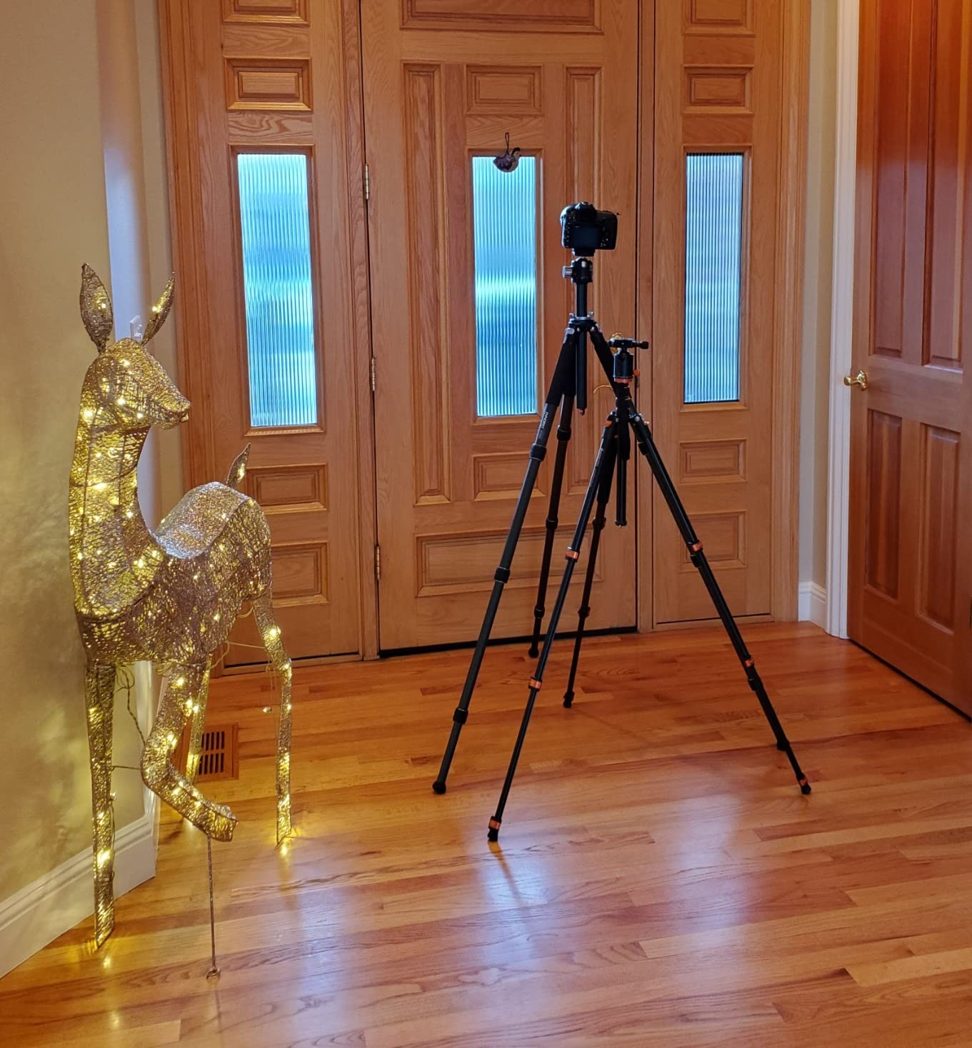 Carbon Fiber Camera Tripod - INNOREL GT324C Professional Compact Shooting Tripod for Heavy Duty Stand with Low Gravity Center Ball Head, Special-Shaped Center Column - Customer Photo 2