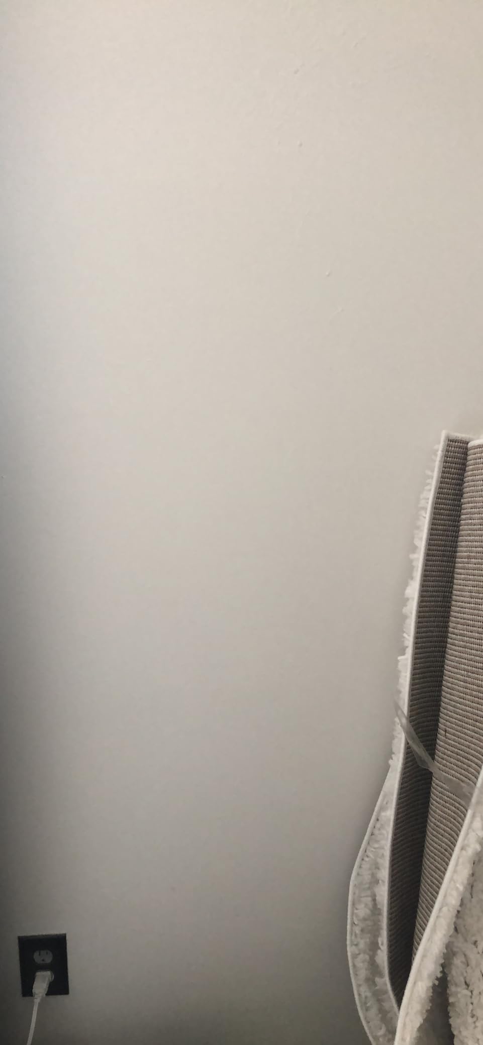 BACKDROP | Premium Interior Paint | Standard Semi Matte, Low Sheen Finish | Self-Priming, Low VOC, Green Wise Certified | SUPERMOON – Pure White | 0.5 Gallon Customer Review BACKDROP | Premium Interior Paint | Standard Semi Matte, Low Sheen Finish | Self-Priming, Low VOC, Green Wise Certified | SUPERMOON – Pure White | 0.5 Gallon - Customer Photo 1