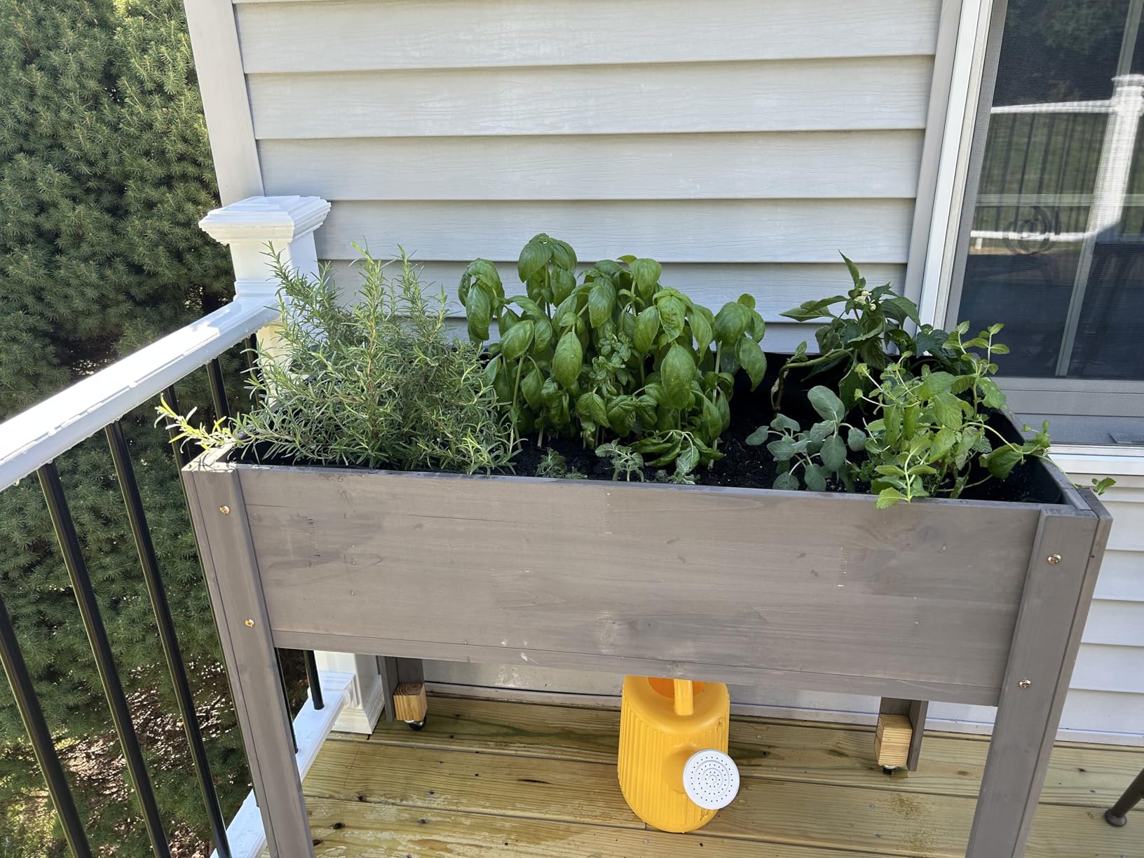 Raised Garden Bed with Legs, 48x24x30 Cedar Wood Elevated Planter Box | Large Growing Capacity, Premium Cedar Wood, Drainage Holes & Liner, Perfect for Outdoor Gardening, Ergonomic Gardening Height customer photo 1