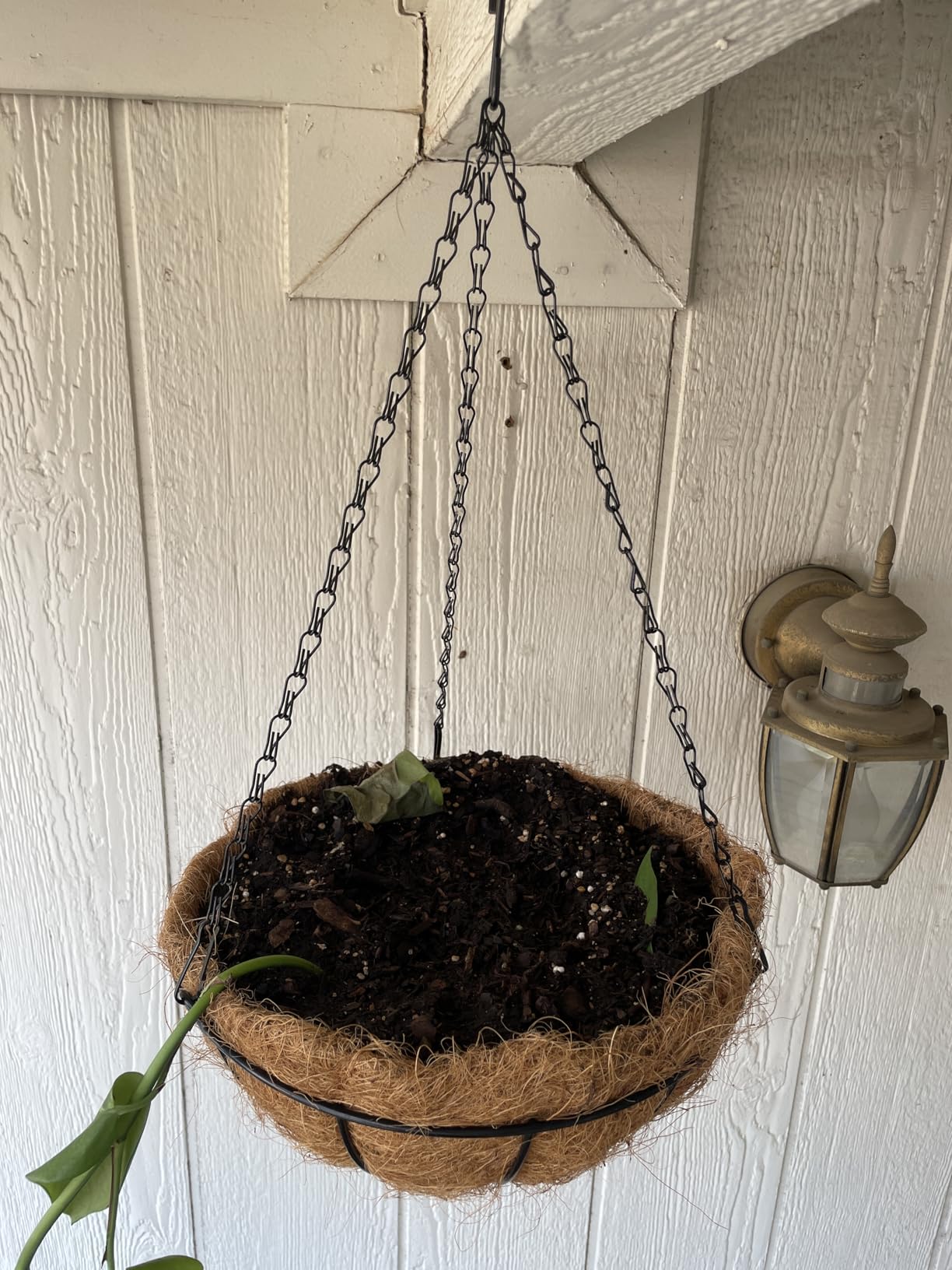 2 Pack 14 Inch Hanging Baskets for Plants Outdoor, Metal Wire Round Planters with Coco Liner, Hanging Flower Baskets for Home Garden Porch Balcony Railings Decor customer photo 2