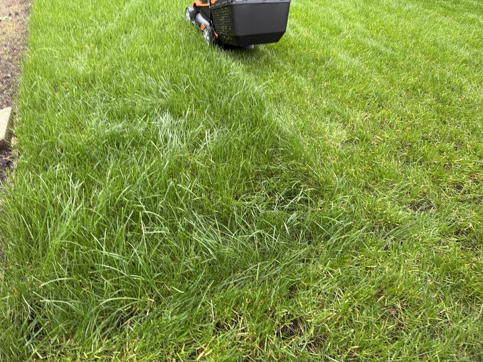 LawnMaster CLM2413A Cordless 13-Inch Lawn Mower 24V Max with 2X4.0Ah Battery and a Charger Customer Review LawnMaster CLM2413A Cordless 13-Inch Lawn Mower 24V Max with 2X4.0Ah Battery and a Charger - Customer Photo 1