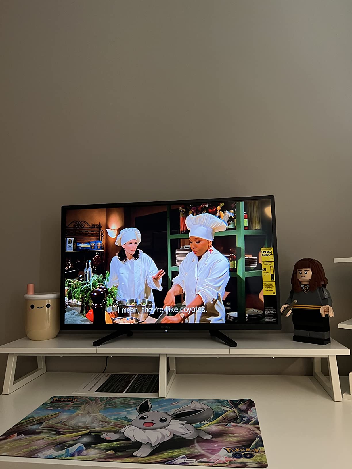 Sony 32 Inch 720p HD LED HDR TV W830K Series with Google TV and Google Assistant-2022 Model customer photo 1