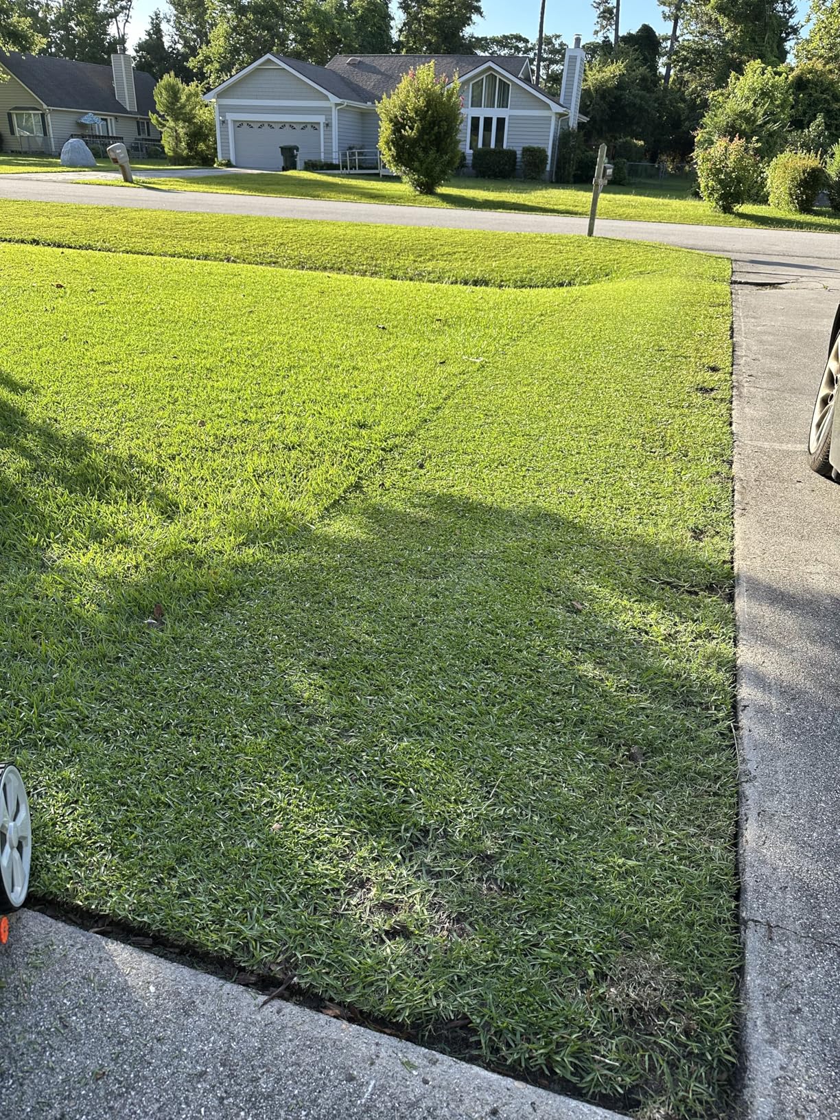 Yard Force Self Propelled Lawn Mower Briggs & Stratton 150cc Gas Engine 22-inch Steel Deck 3-in-1 Mulch, Bag, Side Discharge, 12-inch High Rear Wheels Customer Review Yard Force Self Propelled Lawn Mower Briggs & Stratton 150cc Gas Engine 22-inch Steel Deck 3-in-1 Mulch, Bag, Side Discharge, 12-inch High Rear Wheels - Customer Photo 2