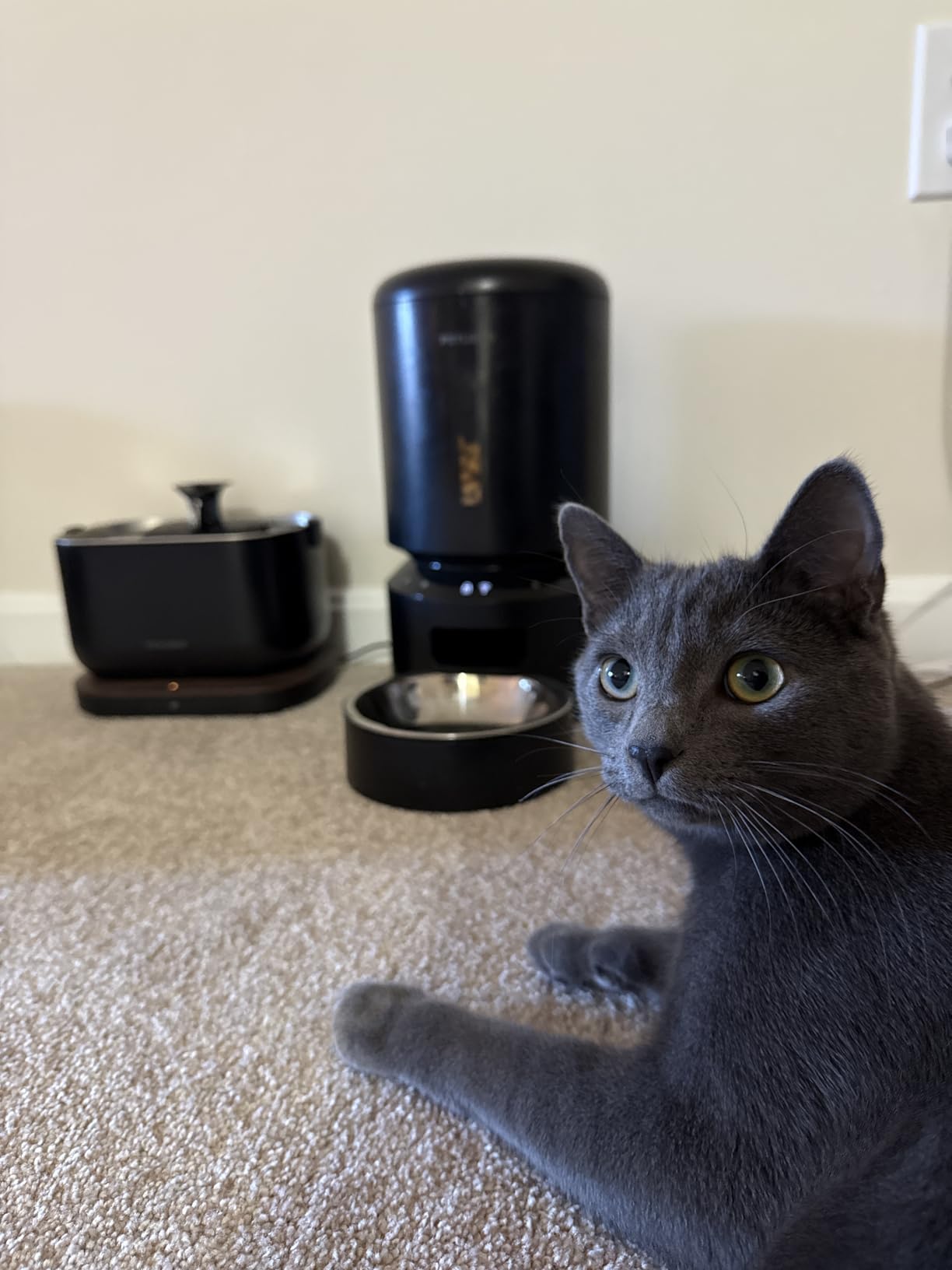 Product Customer Review Product - Customer Photo 1