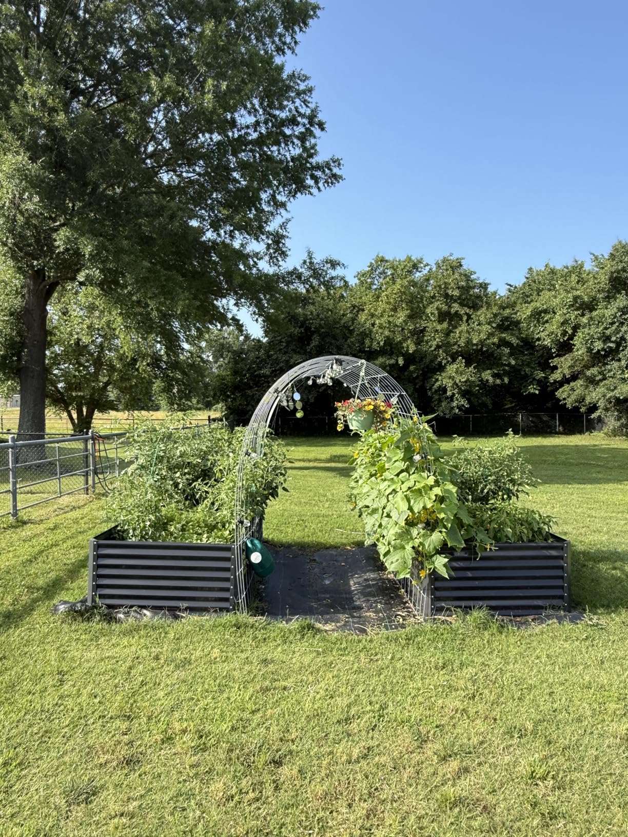 Best Choice Products 8x4x2ft Outdoor Metal Raised Garden Bed, Deep Root Planter Box for Vegetables, Herbs & Flowers, 478-Gallon Capacity, 100% Non Toxic Materials - Gray customer photo 1