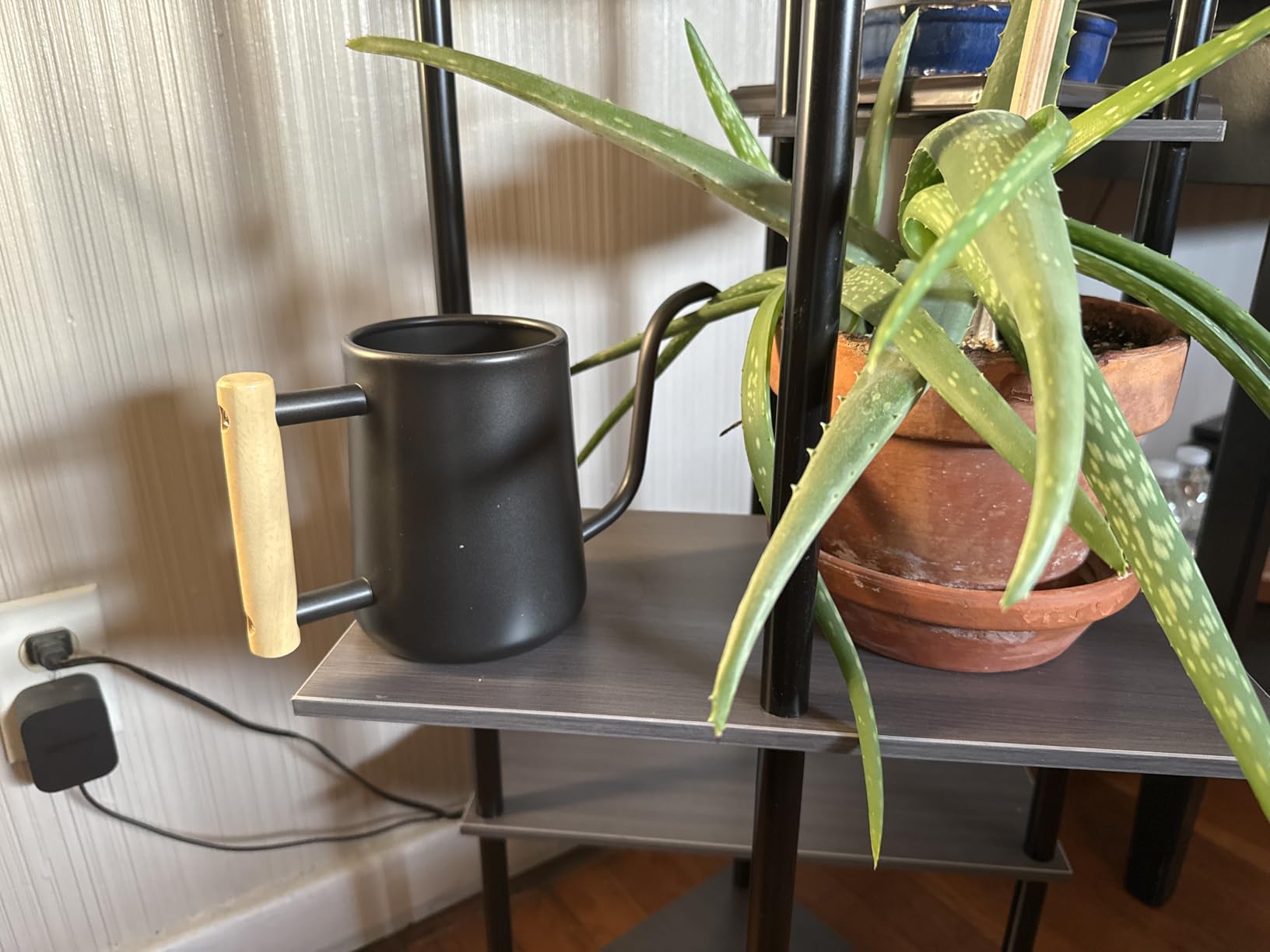 Watering Can for Indoor Plants, 35oz Metal Stainless Steel Pot with Long Spout for House Plants Bonsai customer photo 2