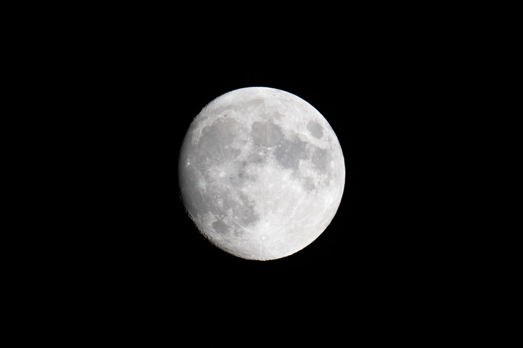 Nikon NIKKOR Z 800mm f/6.3 VR S Super-Telephoto Lens - Customer Photo 1