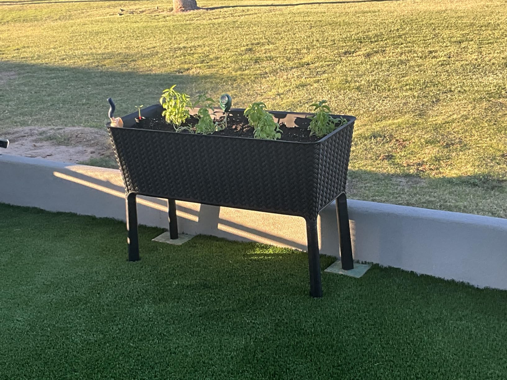 Keter Splendor 31.7 Gallon Raised Garden Bed with Self Watering Planter Box and Drainage Plug-Perfect for Growing Fresh Vegetables, Flowers and Herbs, Brown customer photo 1