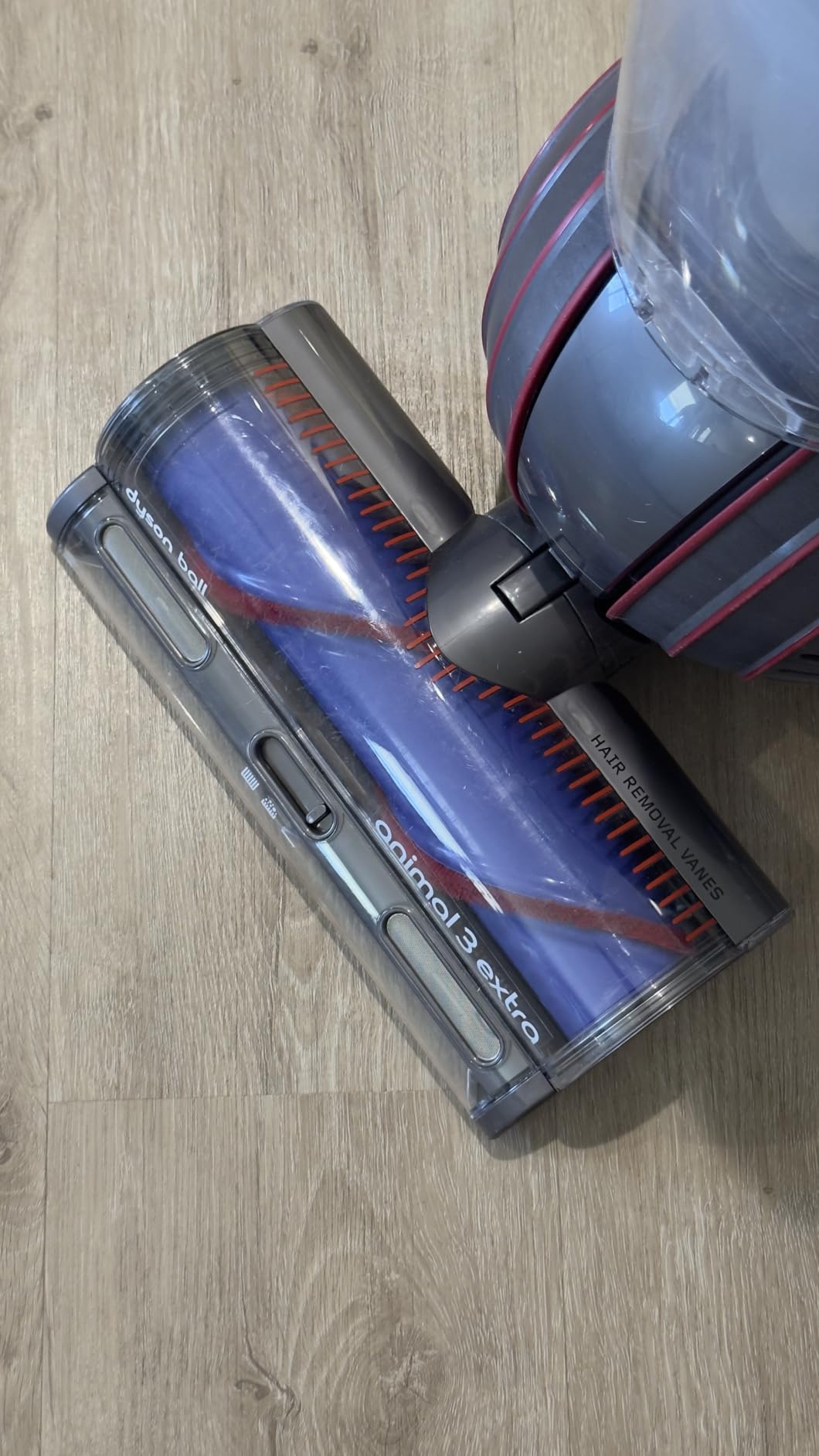 Dyson Ball Animal 3 Extra Upright Vacuum, Corded, 290AW, De-tangling Motorbar Cleaner Head for All Floors, 3 Suction Modes, Specialized Pet Tools Customer Review Dyson Ball Animal 3 Extra Upright Vacuum, Corded, 290AW, De-tangling Motorbar Cleaner Head for All Floors, 3 Suction Modes, Specialized Pet Tools - Customer Photo 1